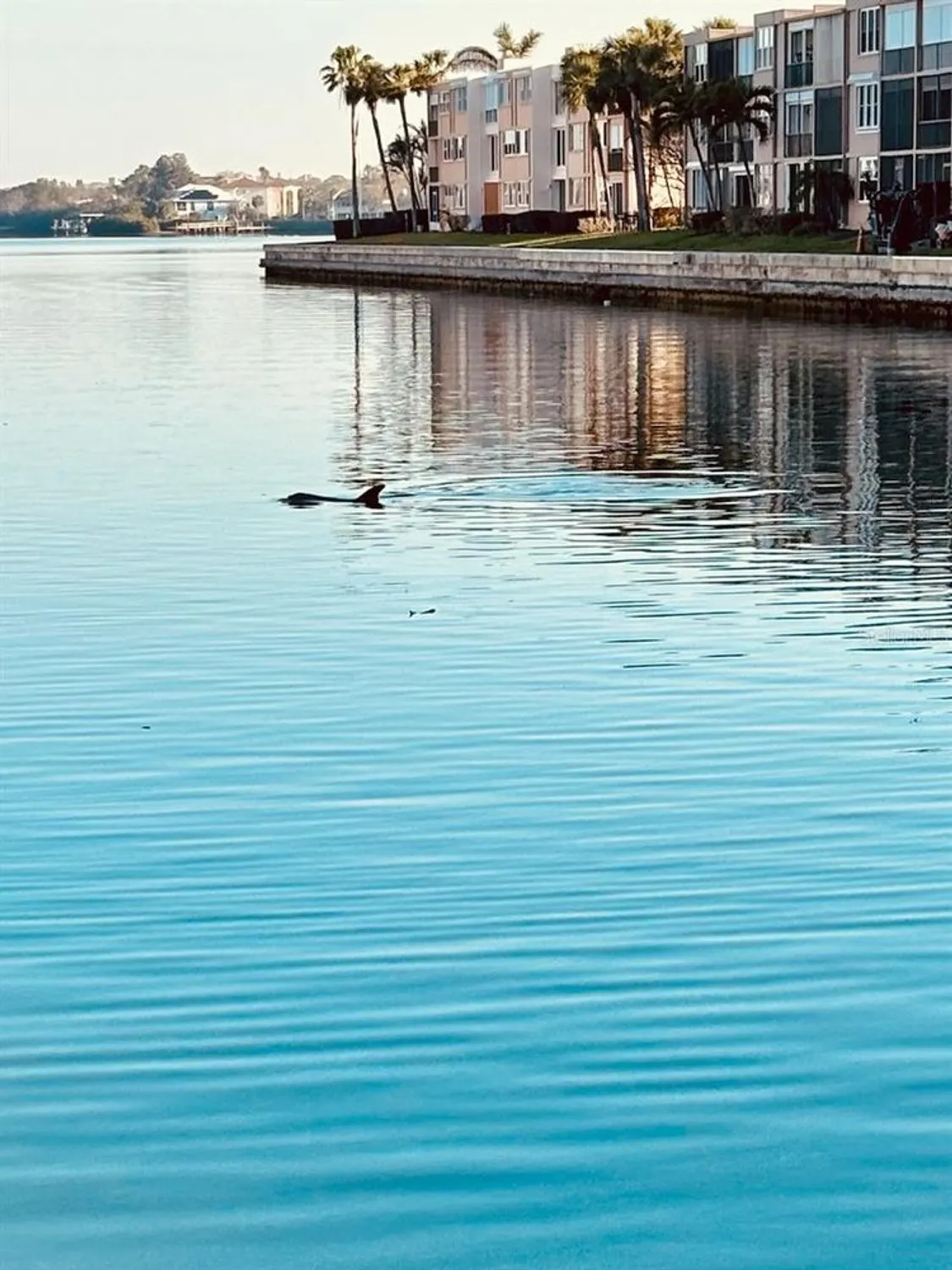 Property Slideshow image 9 of 100 | 7700 sun island dr 608, South Pasadena, FL, 33707