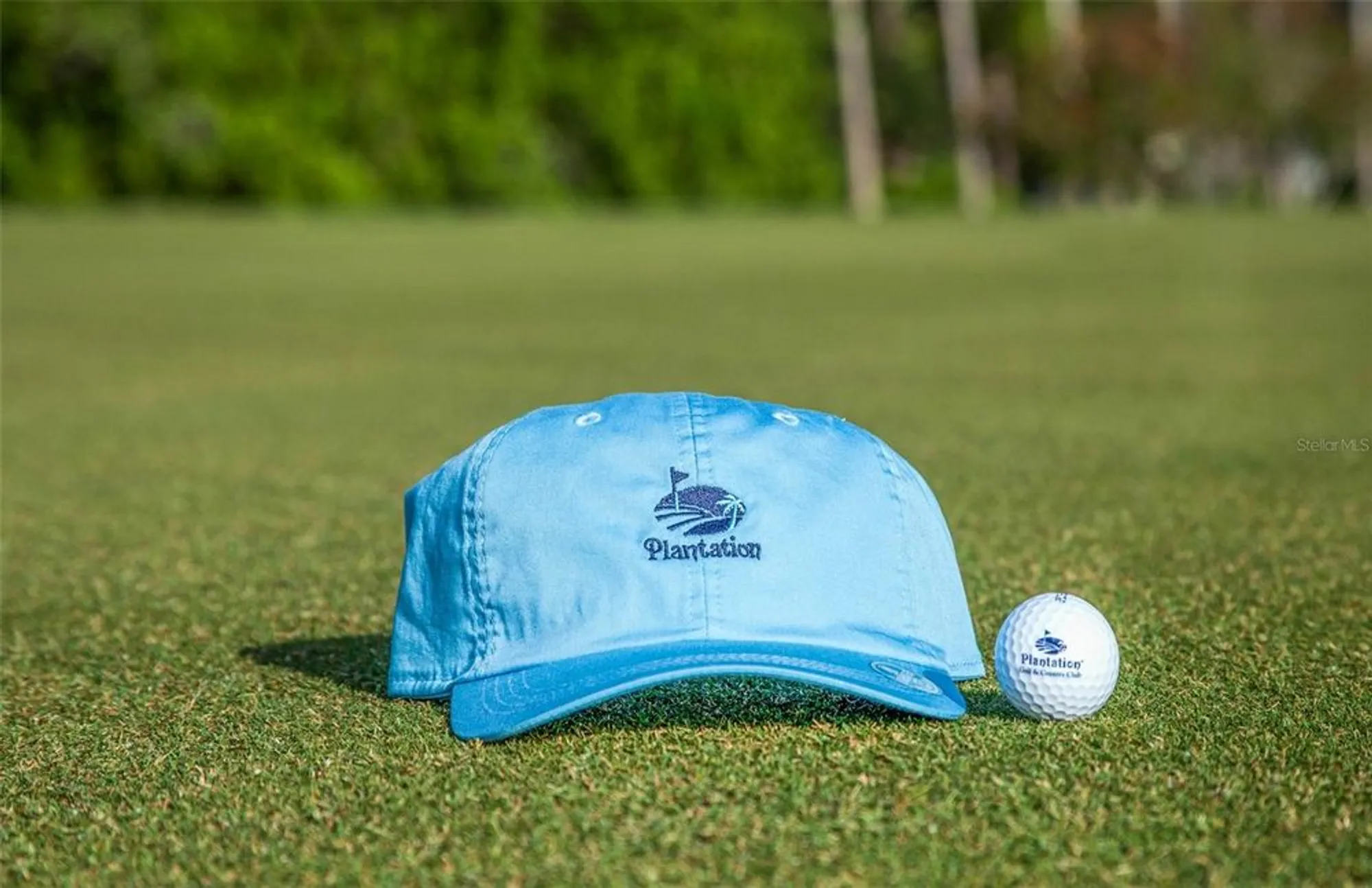 Property Slideshow image 71 of 77 | 810 carnoustie dr, Venice, FL, 34293