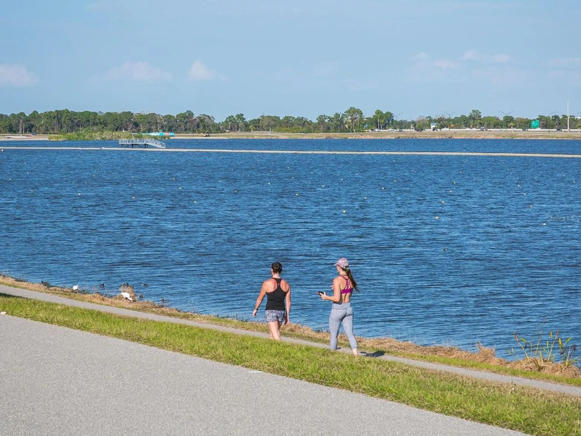 Property Slideshow image 66 of 73 | 6103 clubside dr # 6103, Sarasota, FL, 34243