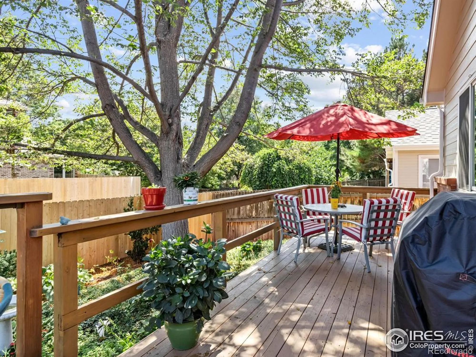 Property Slideshow image 9 of 24 | 1520 tulip ct, Longmont, CO, 80501