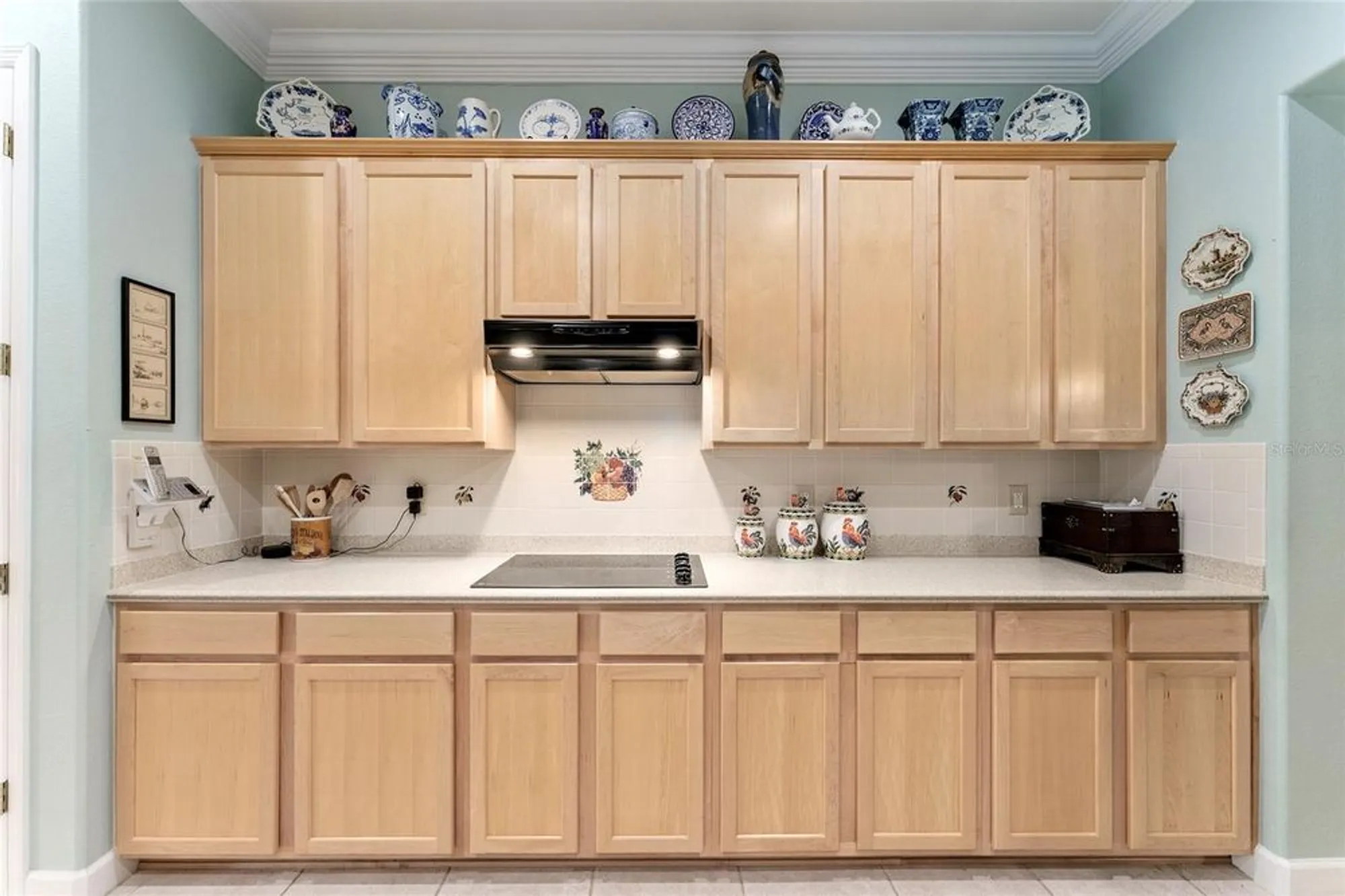 Property Slideshow image 24 of 99 | 13320 se 97th terrace rd, Summerfield, FL, 34491