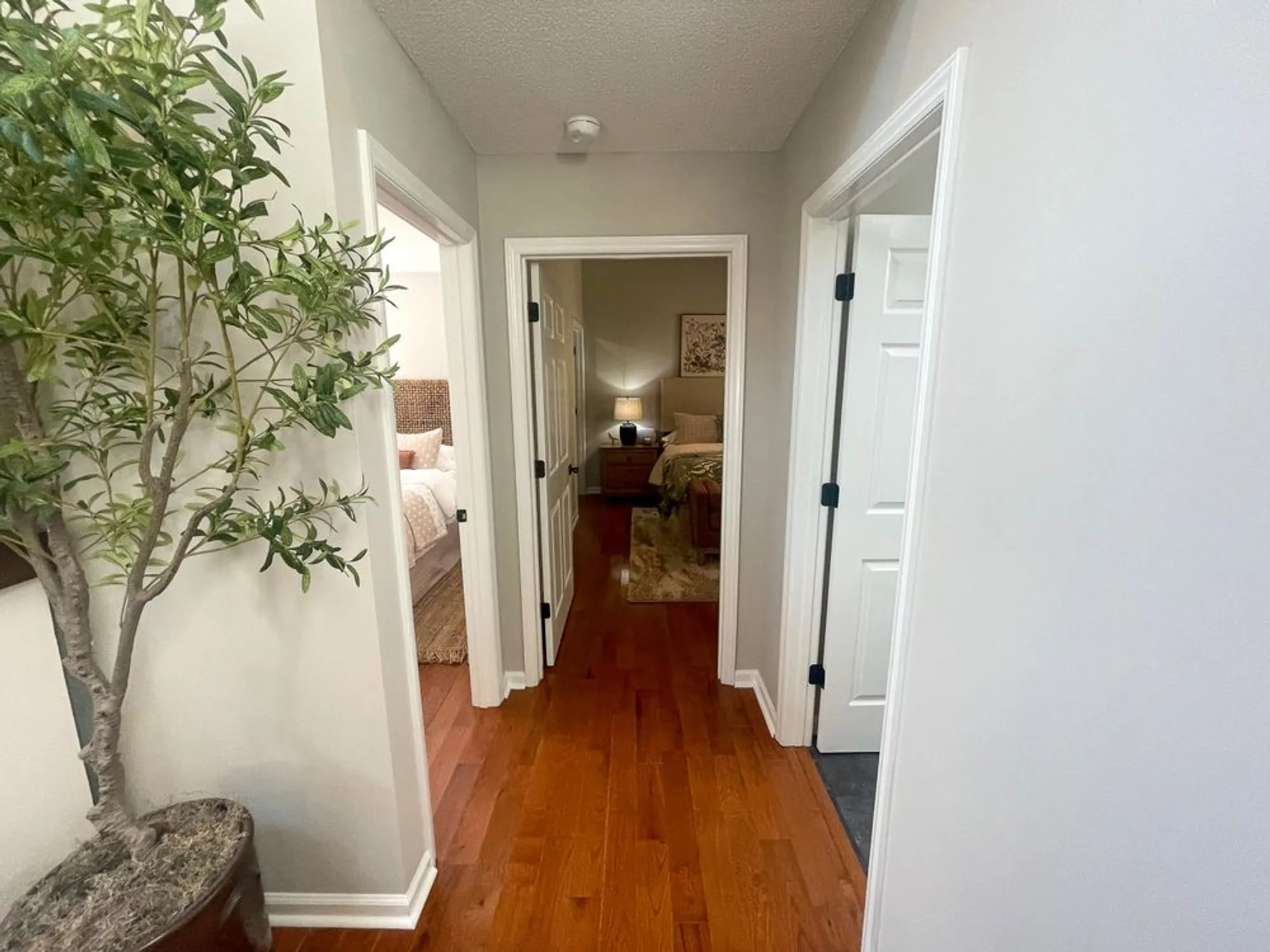 Property Slideshow image 14 of 38 | 101 charlotte dr, Mc Cormick, SC, 29835