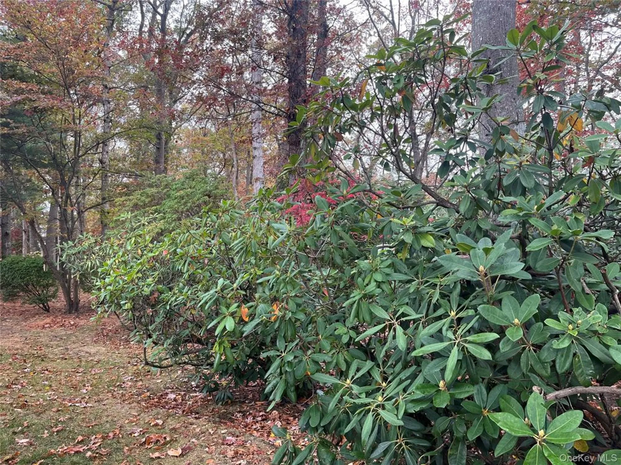 Property Slideshow image 24 of 30 | 194 canterbury dr, Ridge, NY, 11961