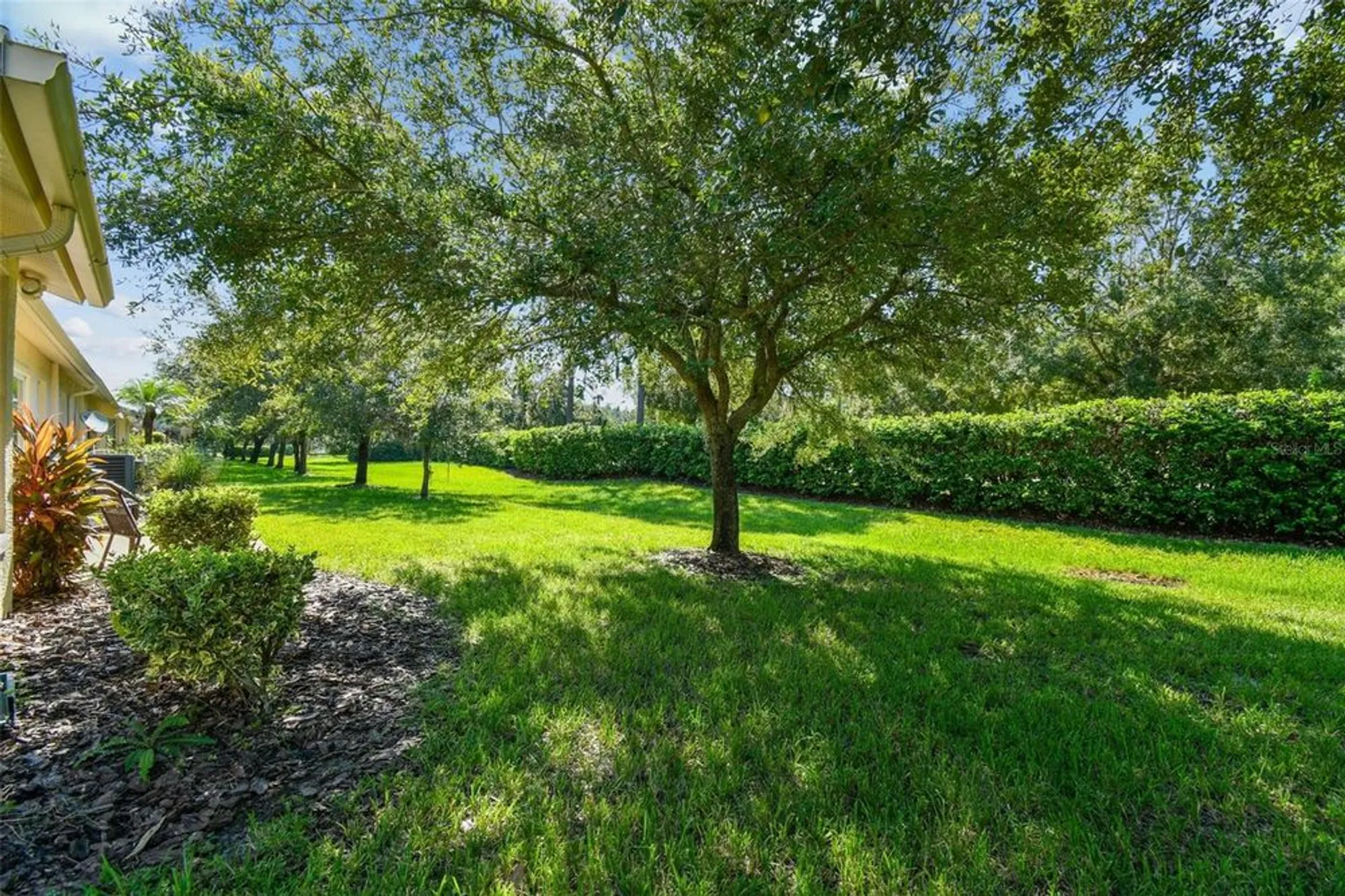 Property Slideshow image 30 of 41 | 12202 arron ter, Trinity, FL, 34655