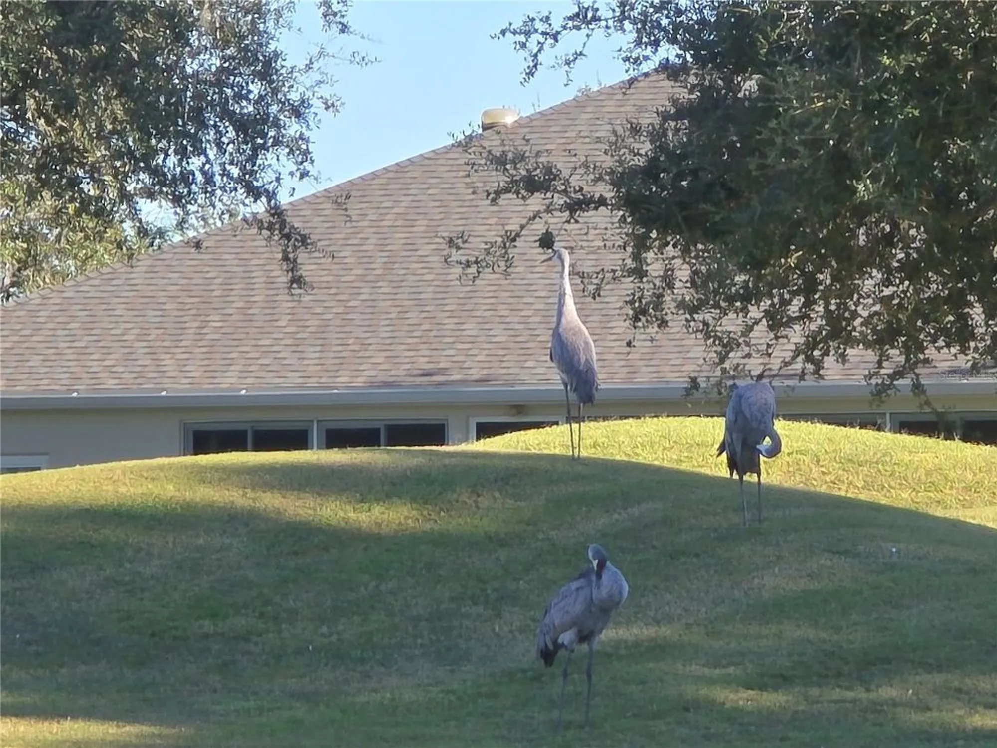 Property Slideshow image 31 of 36 | 24613 madewood ave, Leesburg, FL, 34748