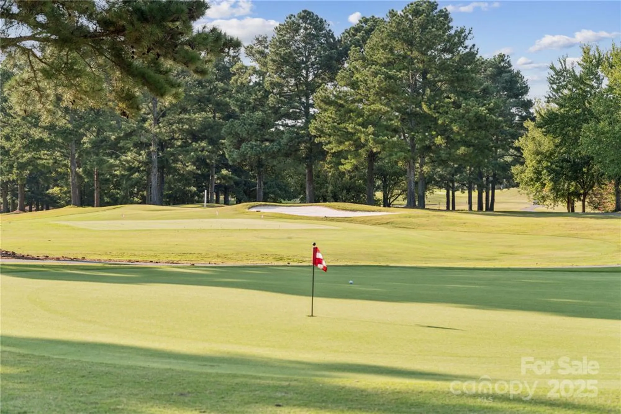 Property Slideshow image 35 of 36 | 3010 bent willow dr, Indian Trail, NC, 28079