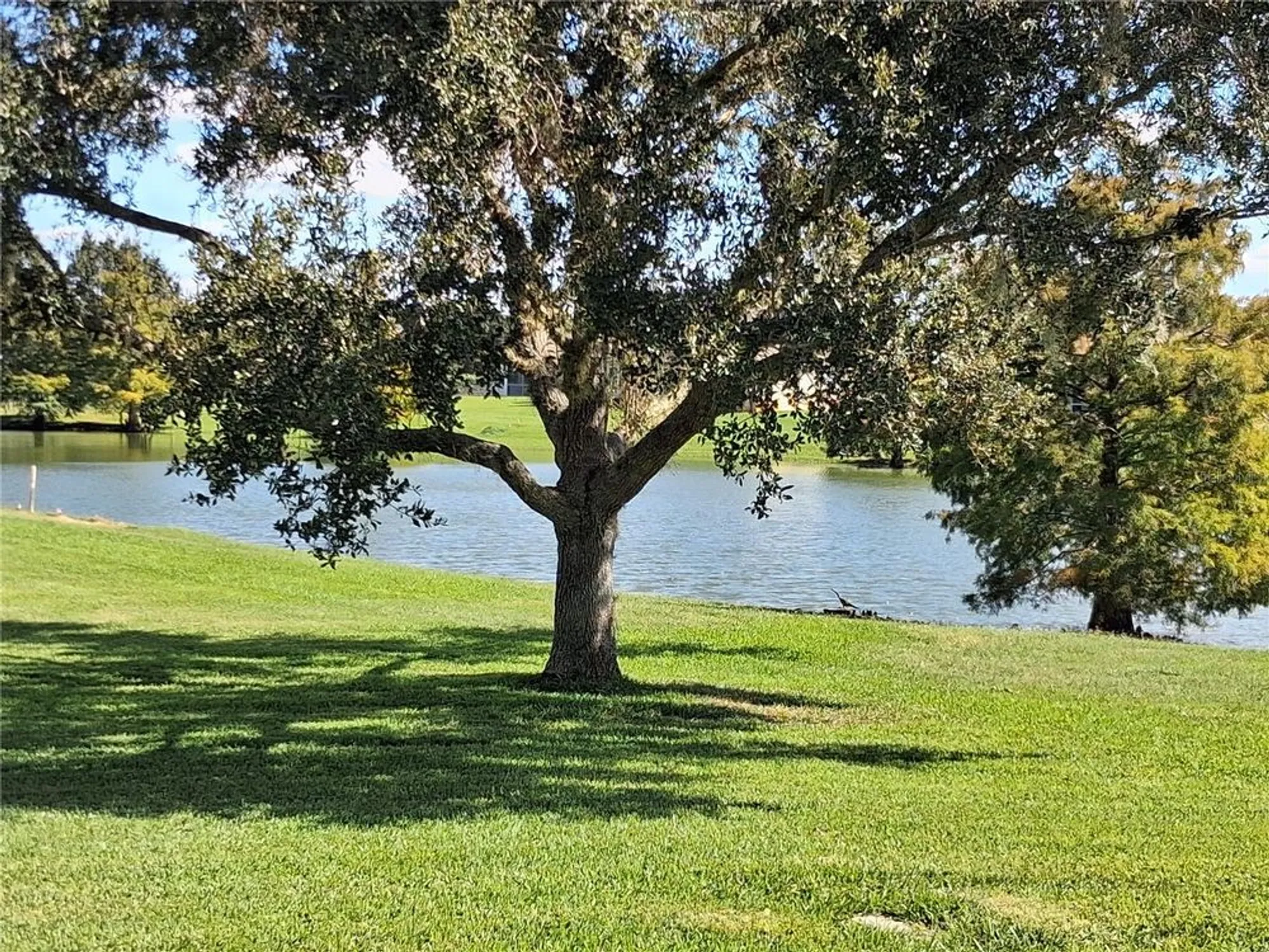 Property Slideshow image 35 of 35 | 10255 dory dr # 1, Oxford, FL, 34484