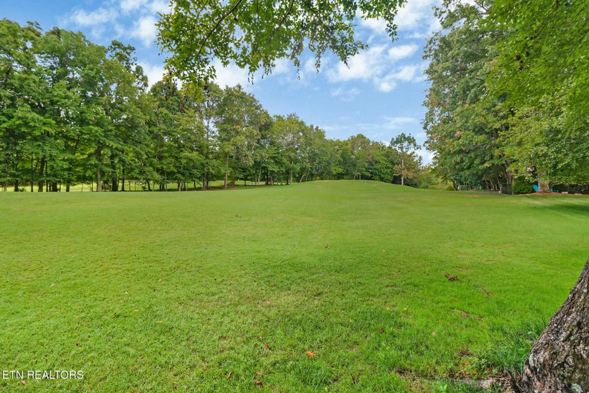 Property Slideshow image 45 of 47 | 237 forest hill dr, Crossville, TN, 38558