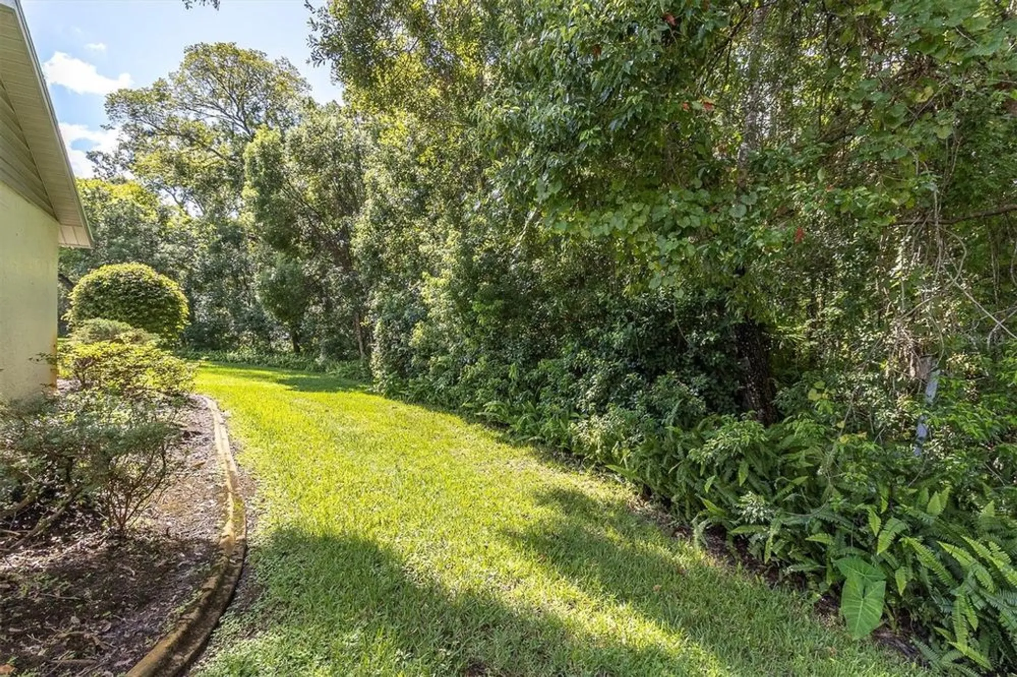 Property Slideshow image 23 of 25 | 11736 white ash dr, New Port Richey, FL, 34654