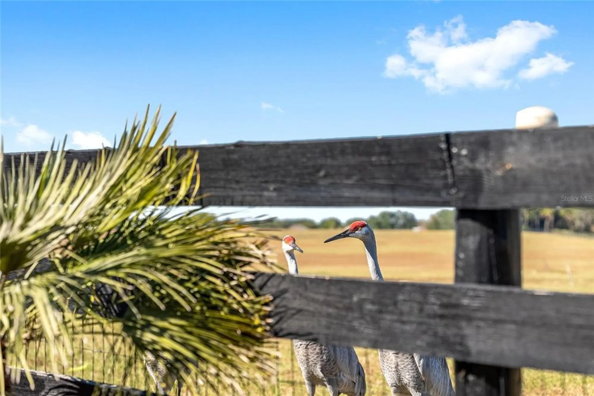 Property Slideshow image 40 of 47 | 1709 madero dr, The Villages, FL, 32159