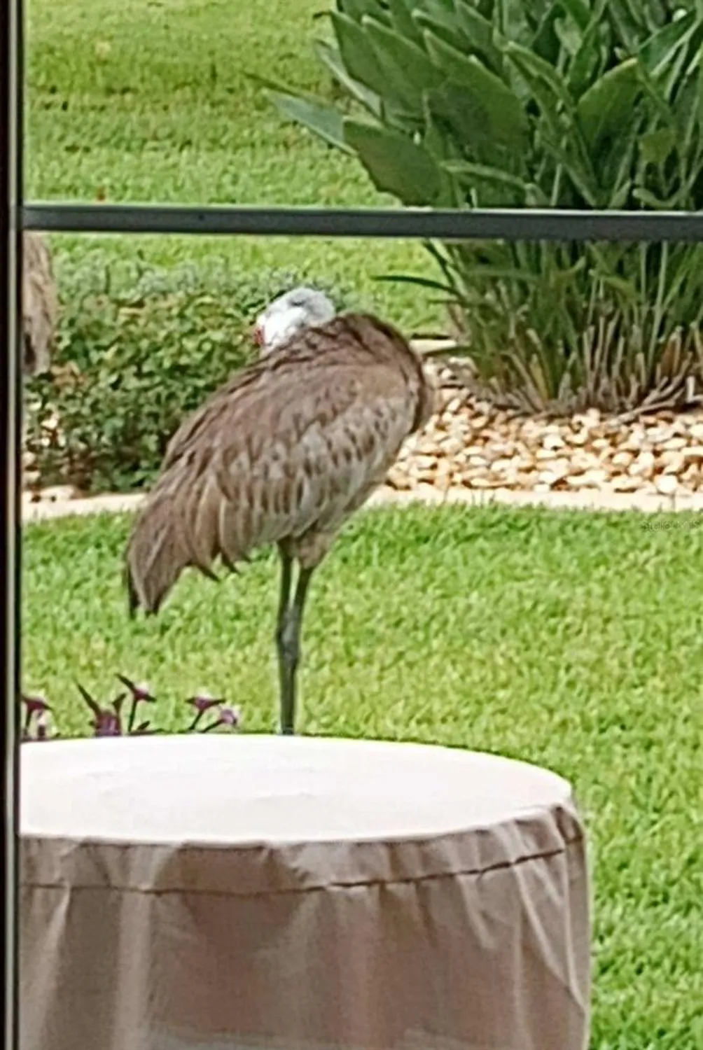 Property Slideshow image 37 of 59 | 15858 sw 11th court rd, Ocala, FL, 34473