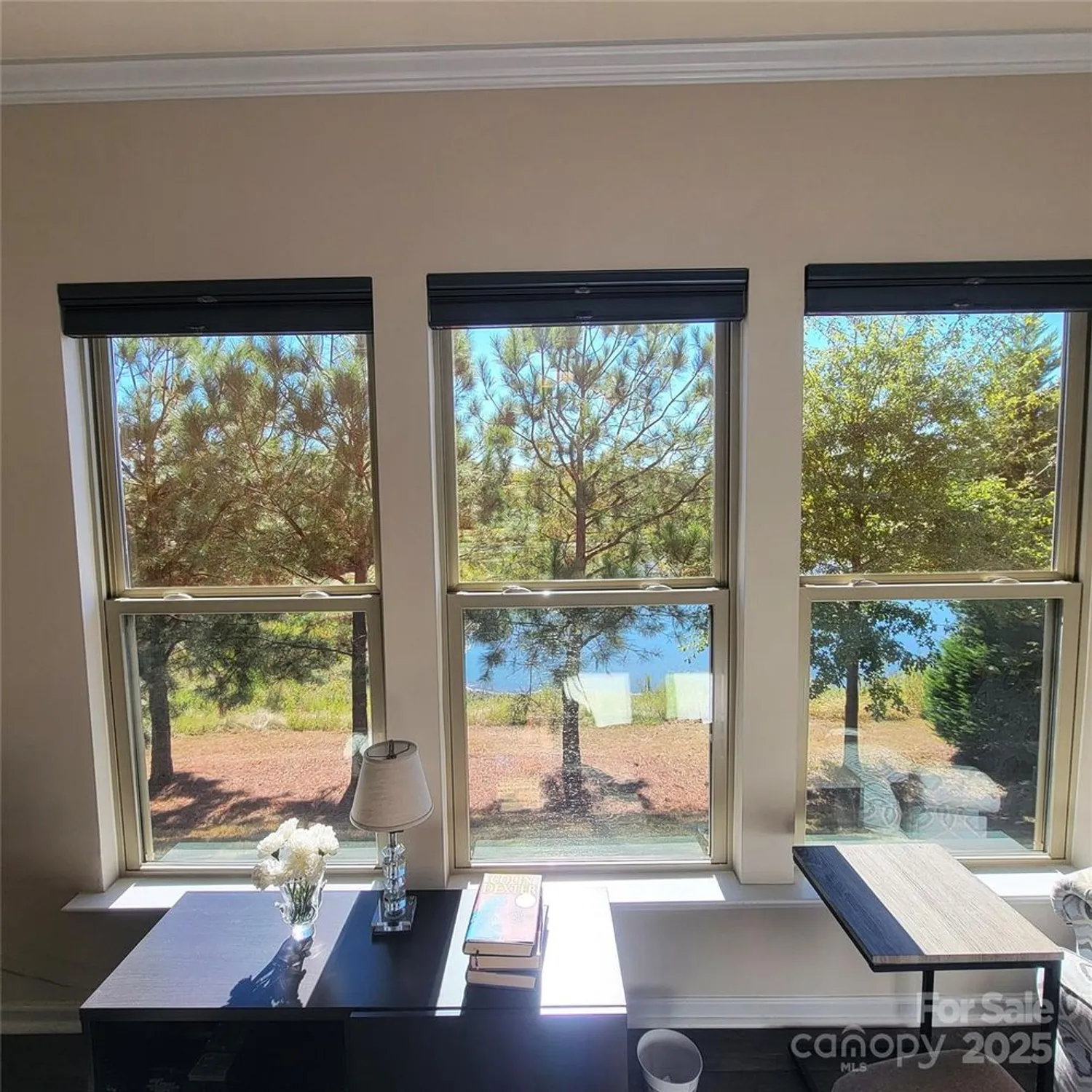 Property Slideshow image 20 of 48 | 758 peach valley ln # 383, Fort Mill, SC, 29715