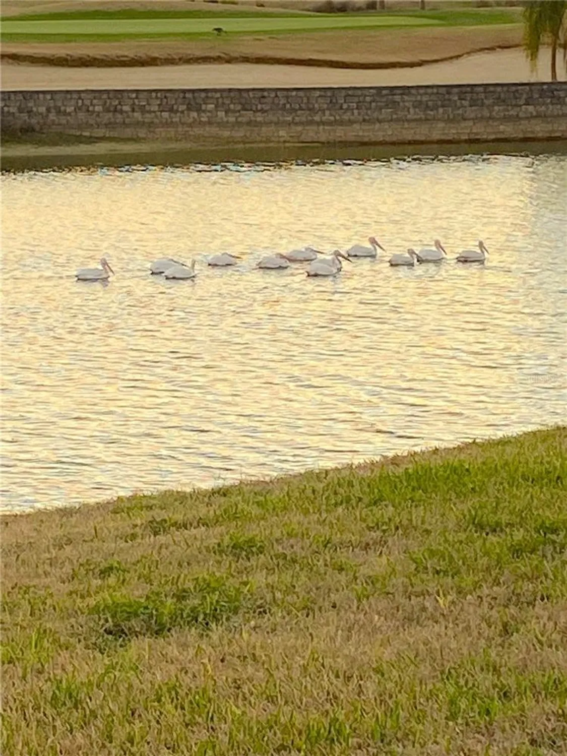 Property Slideshow image 58 of 84 | 9479 sw 71st loop, Ocala, FL, 34481