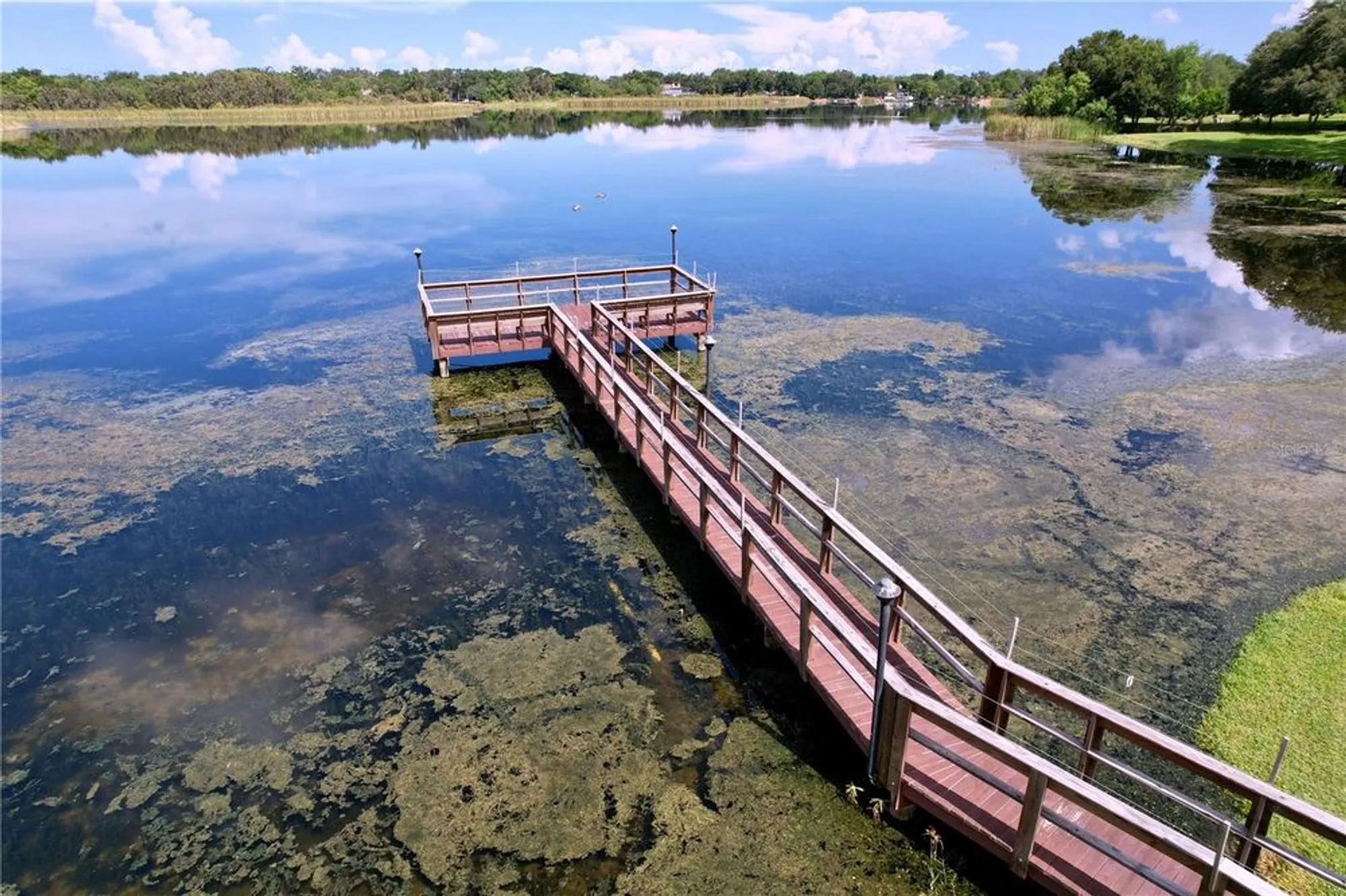 Property Slideshow image 58 of 59 | 2020 lakeview dr apt 203, Clearwater, FL, 33763