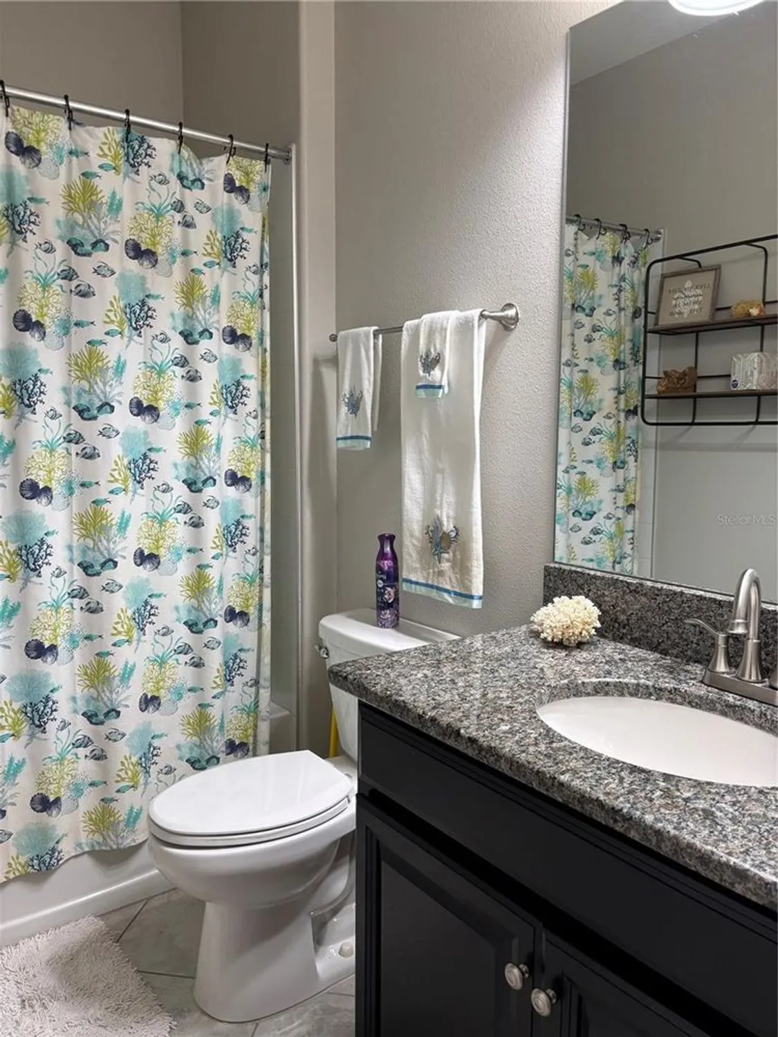 Property Slideshow image 11 of 49 | 16840 whisper elm st, Wimauma, FL, 33598