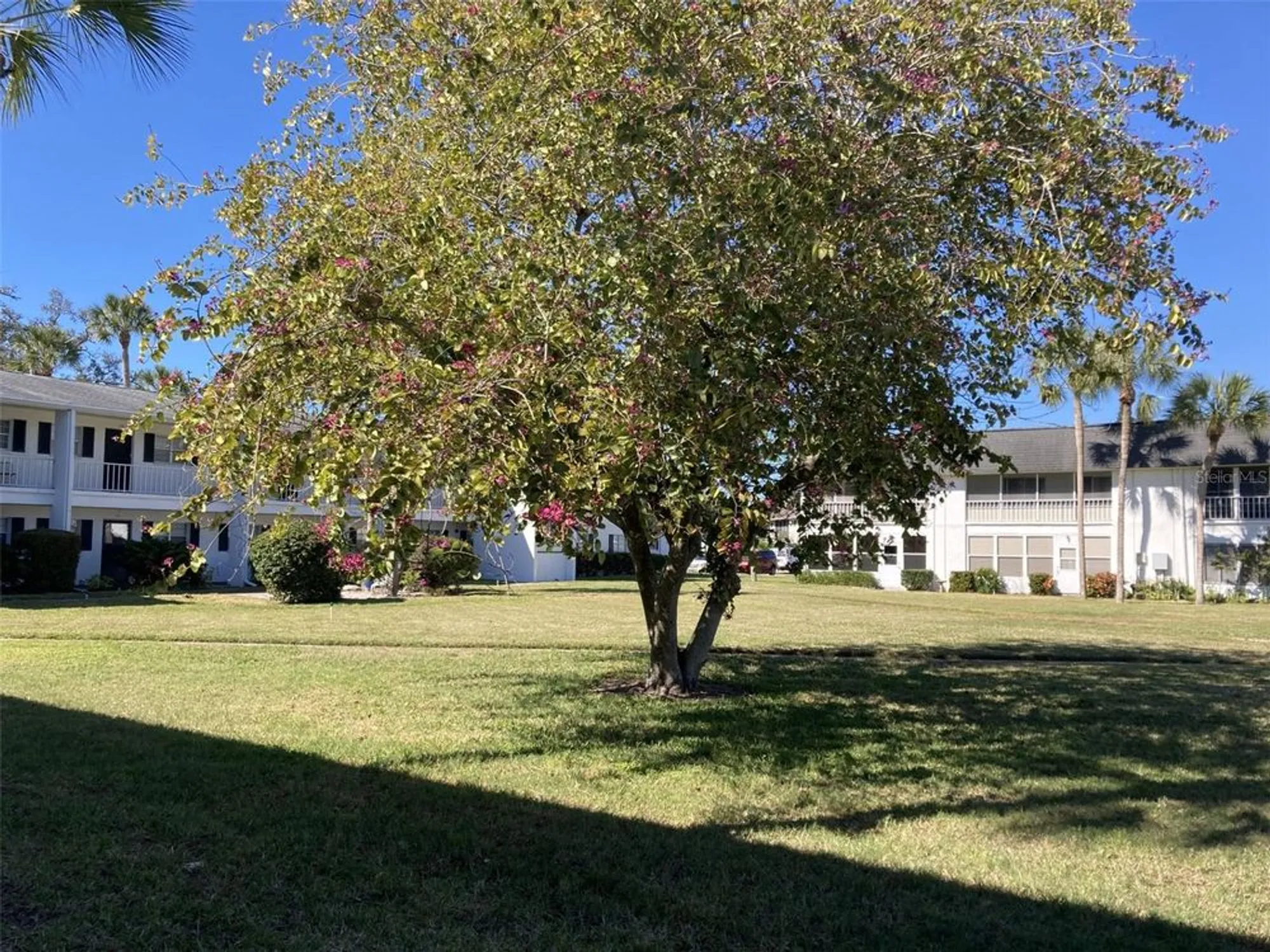 Property Slideshow image 19 of 25 | 103 47th avenue dr 180, Bradenton, FL, 34207