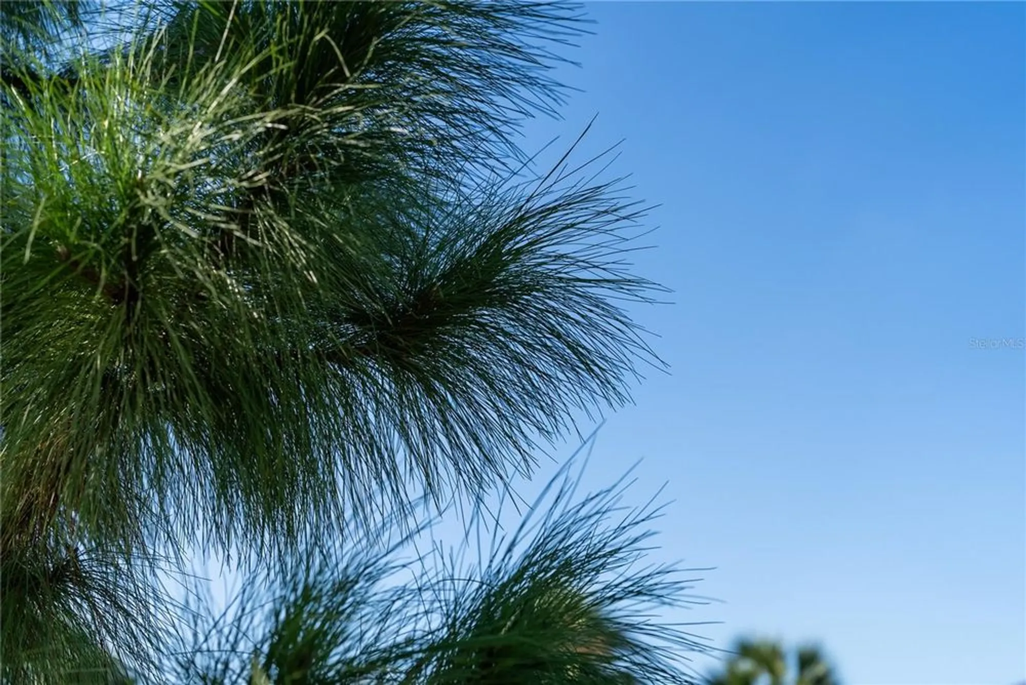 Property Slideshow image 58 of 64 | 4319 pond brook ct, Bradenton, FL, 34211