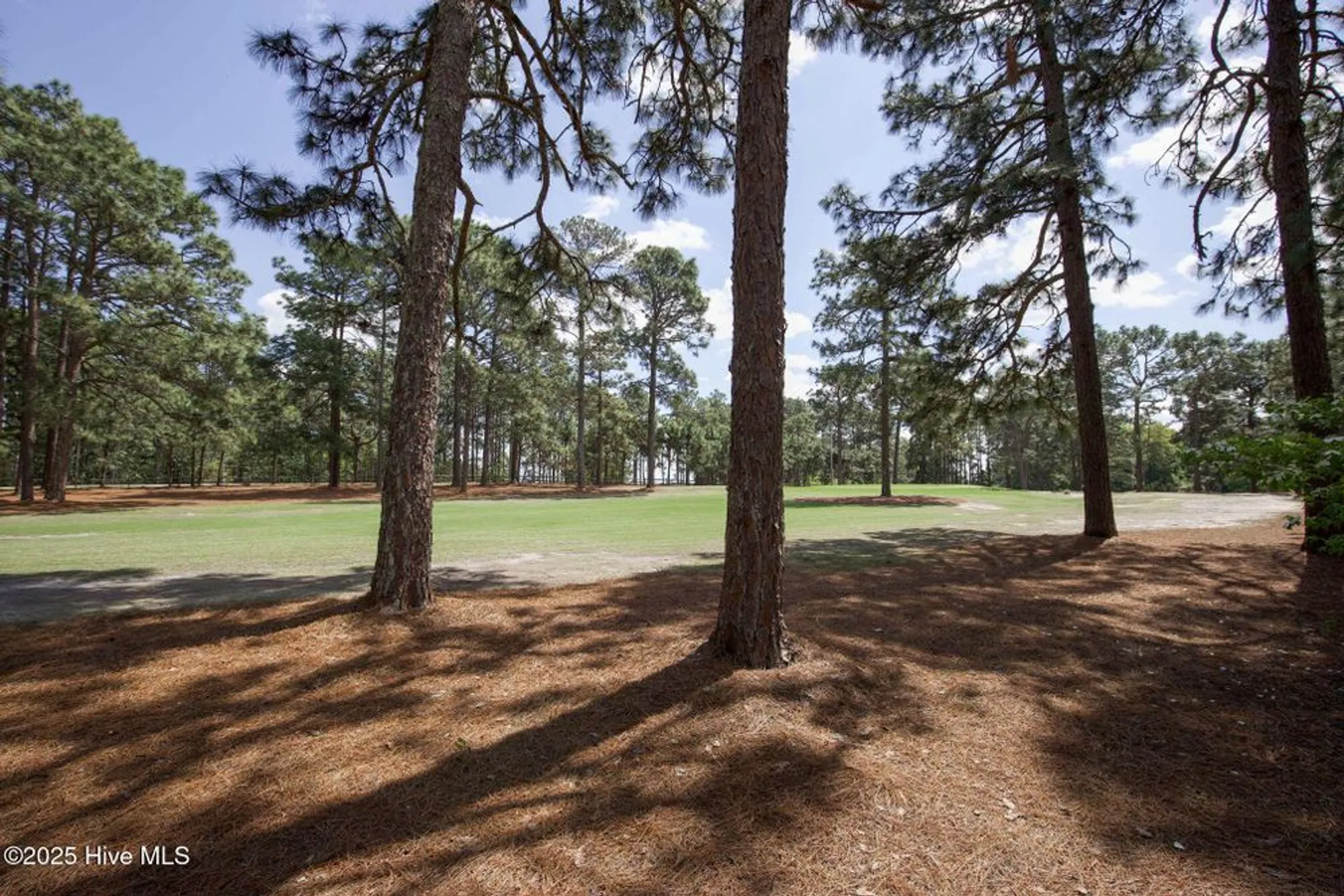 Property Slideshow image 26 of 28 | 317 driftwood cir unit b, Southern Pines, NC, 28387
