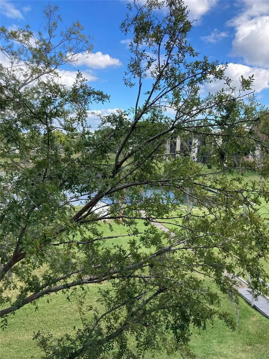 Property Slideshow image 9 of 50 | 8174 terrace garden dr n unit 307, St Petersburg, FL, 33709