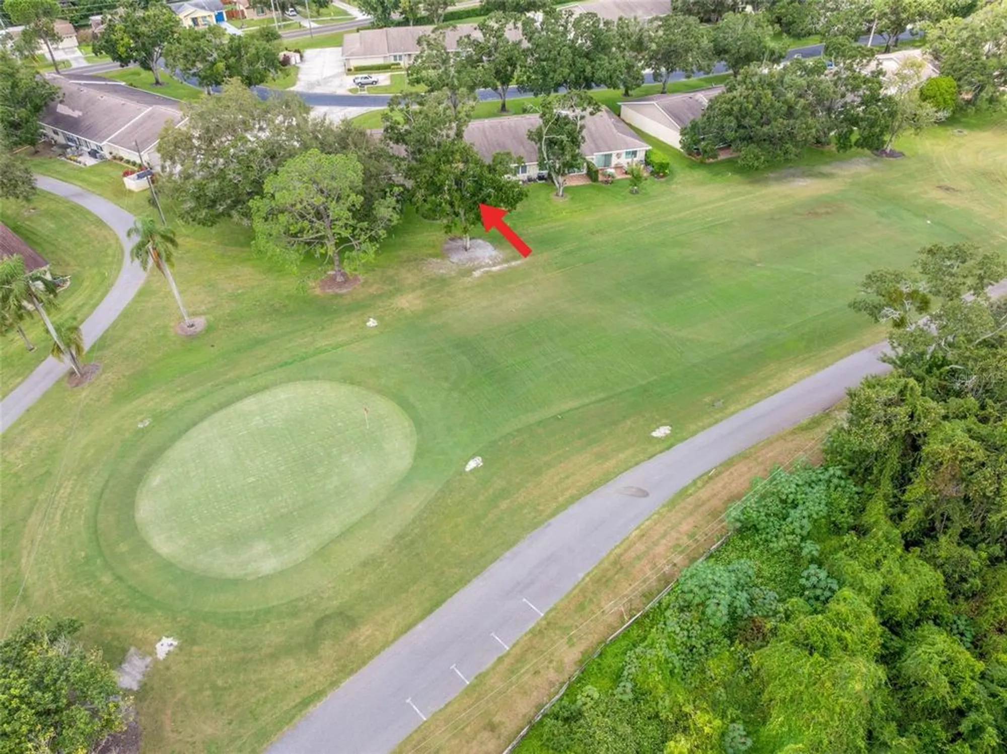 Property Slideshow image 45 of 61 | 1012 dunrobin dr d, Palm Harbor, FL, 34684