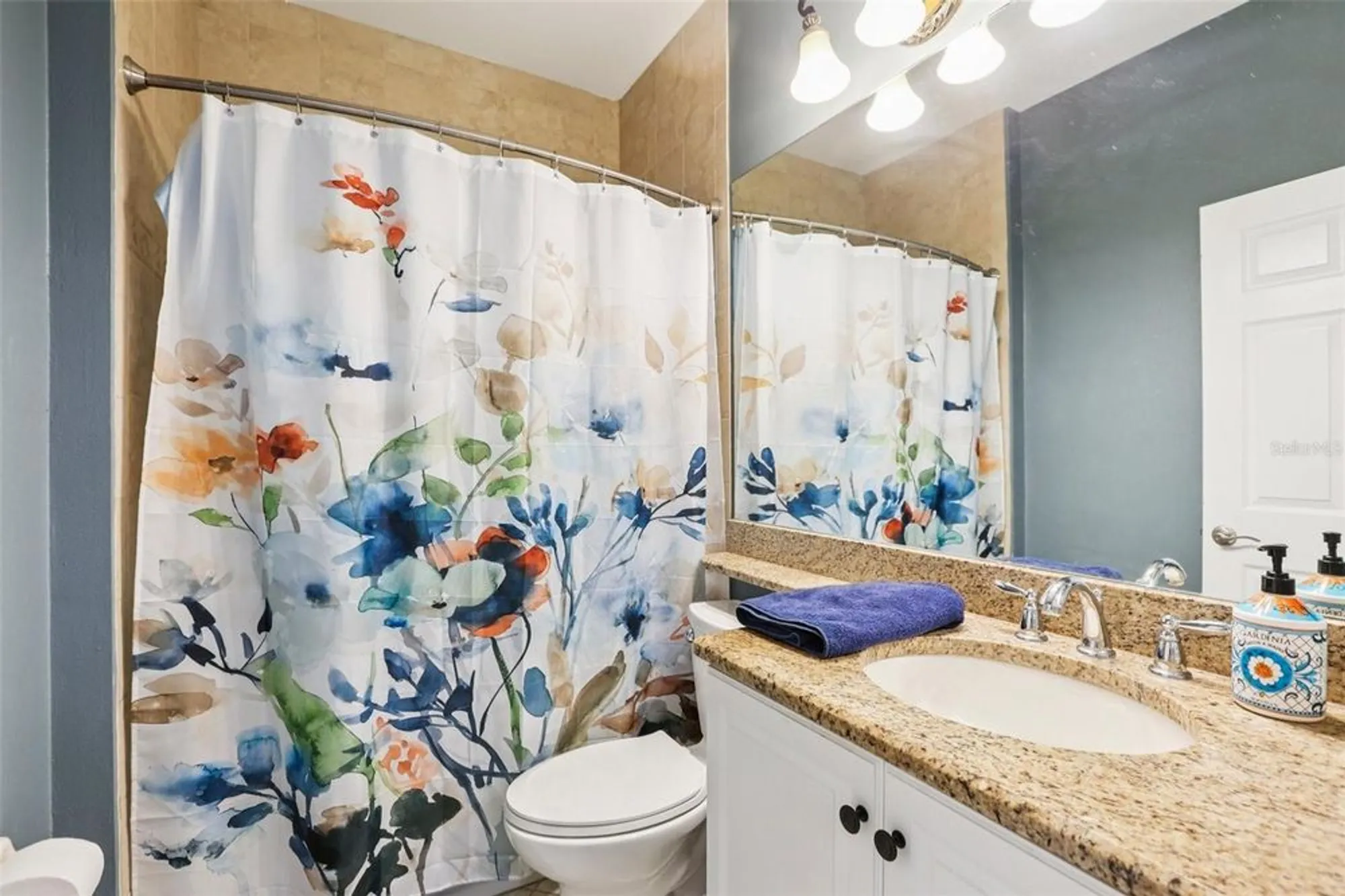 Property Slideshow image 26 of 73 | 15820 aurora lake cir, Wimauma, FL, 33598