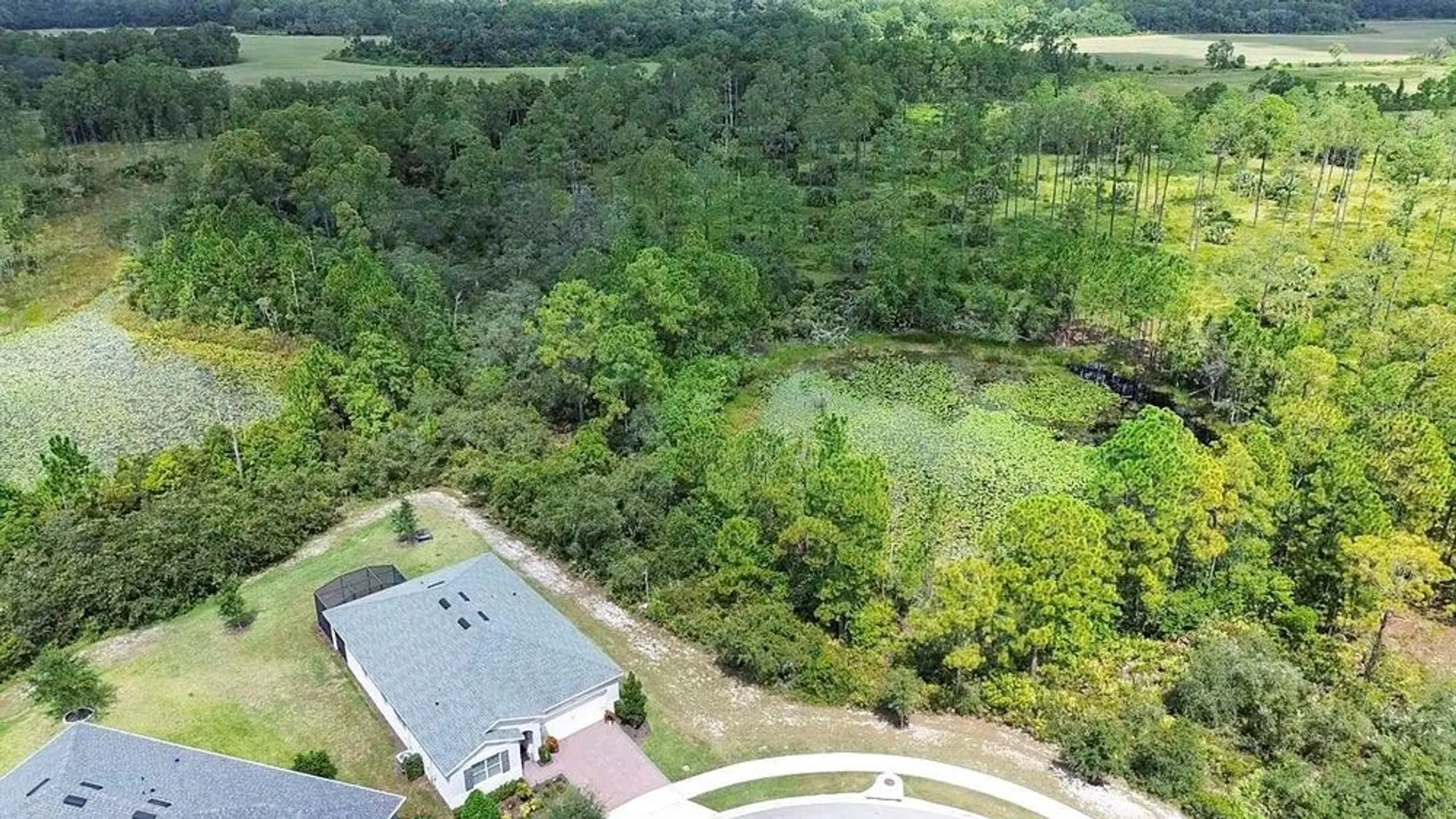 Property Slideshow image 65 of 68 | 3903 winged elm ct, Clermont, FL, 34714