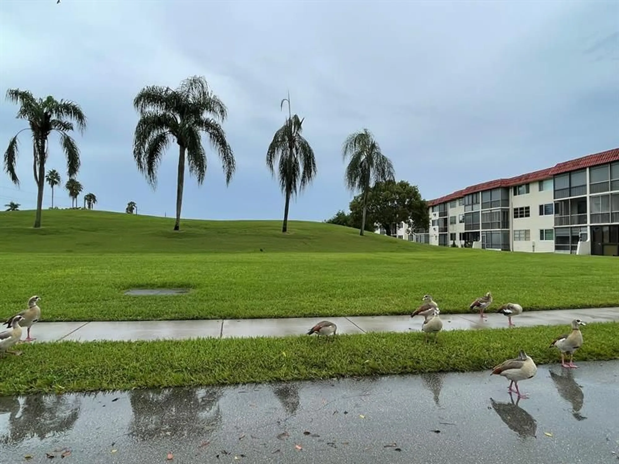 Property Slideshow image 99 of 99 | 361 s hollybrook dr 103, Pembroke Pines, FL, 33025