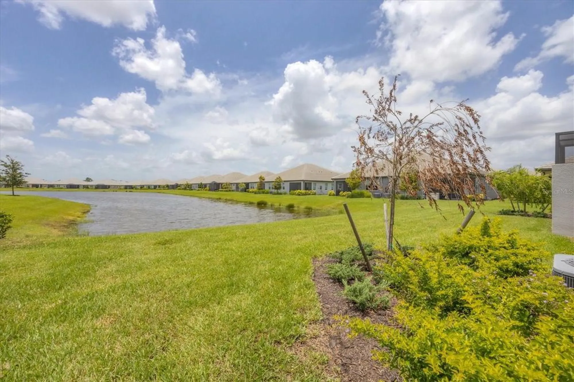 Property Slideshow image 32 of 64 | 17823 cherished loop, Bradenton, FL, 34211