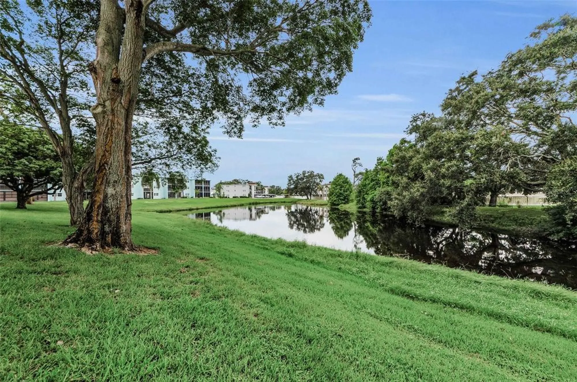 Property Slideshow image 4 of 41 | 1450 heather ridge blvd 307, Dunedin, FL, 34698