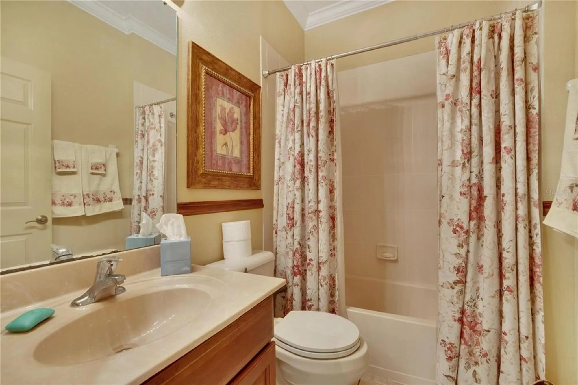 Property Slideshow image 42 of 67 | 204 mystic falls dr, Apollo Beach, FL, 33572