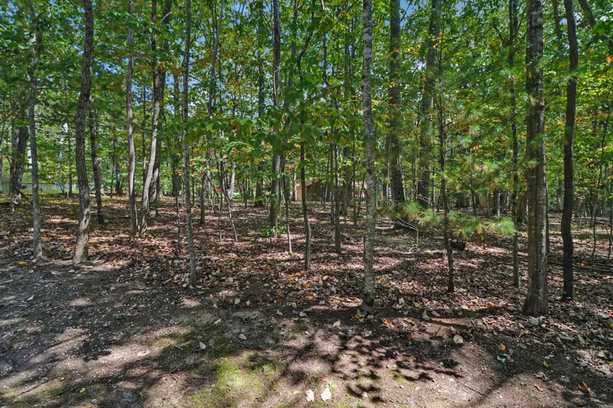 Property Slideshow image 33 of 33 | 19 trafalgar ln, Crossville, TN, 38558