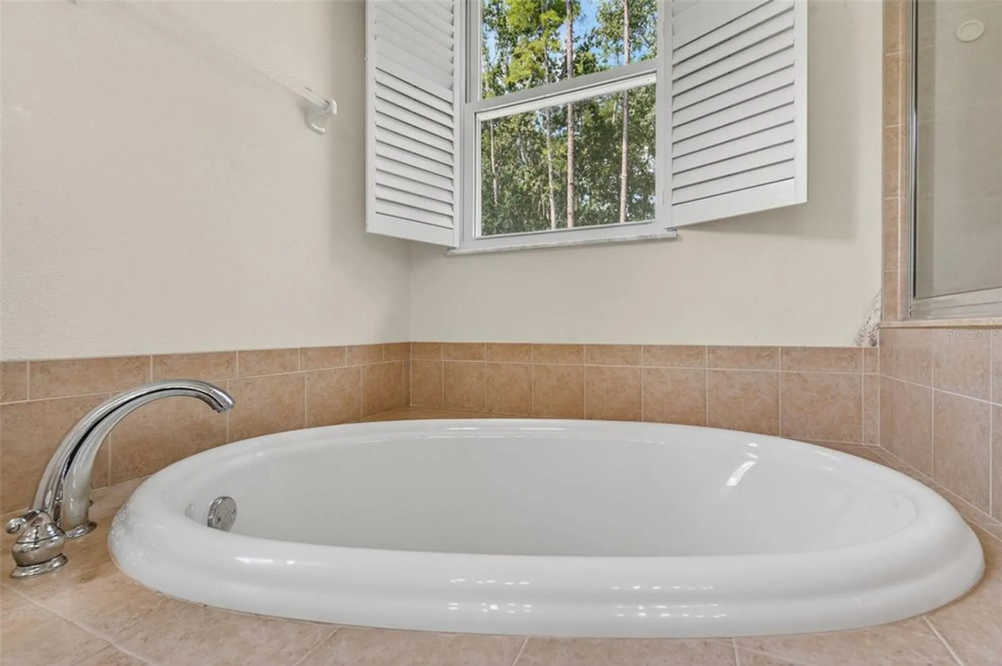 Property Slideshow image 56 of 71 | 11501 bloomington ct, New Port Richey, FL, 34654