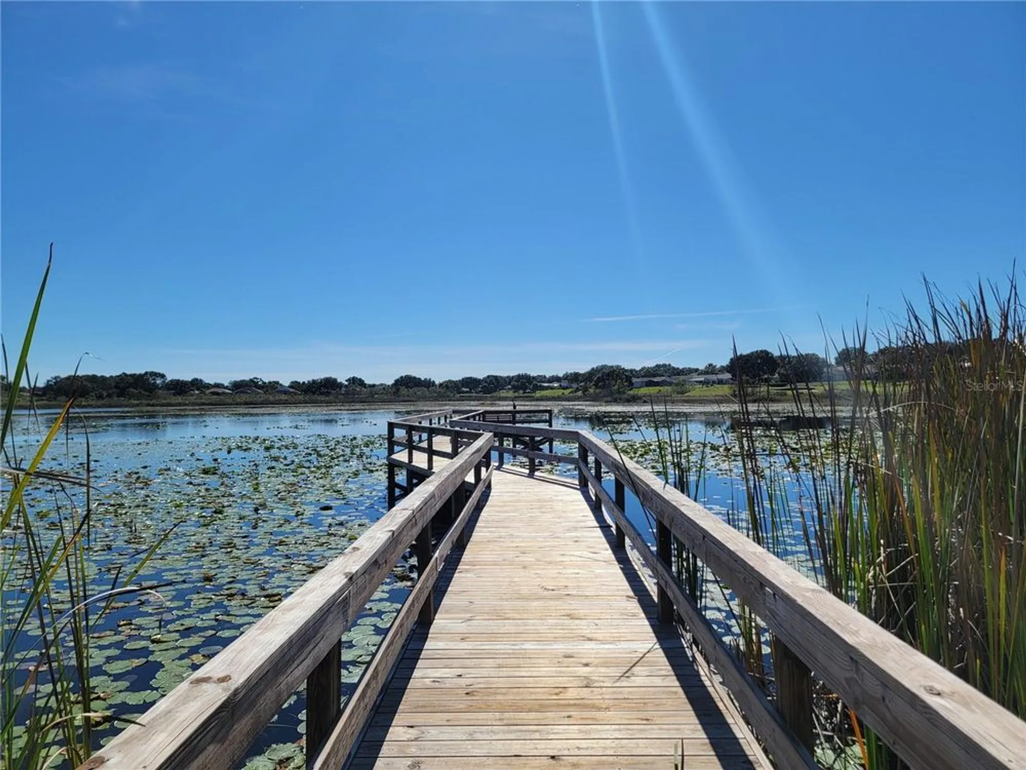 Property Slideshow image 68 of 76 | 4712 belle grv, Leesburg, FL, 34748