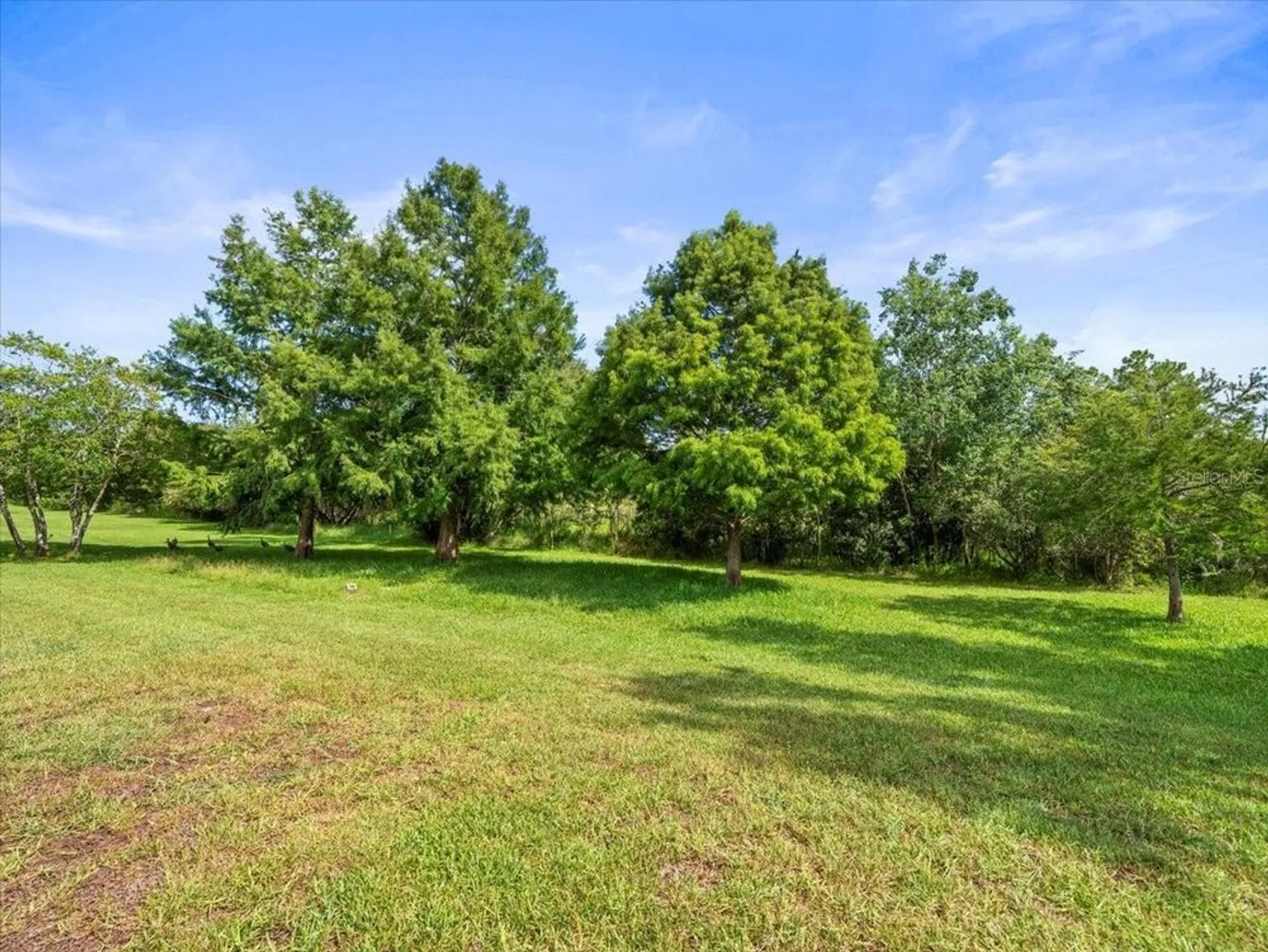 Property Slideshow image 50 of 58 | 8698 mississippi run, Weeki Wachee, FL, 34613