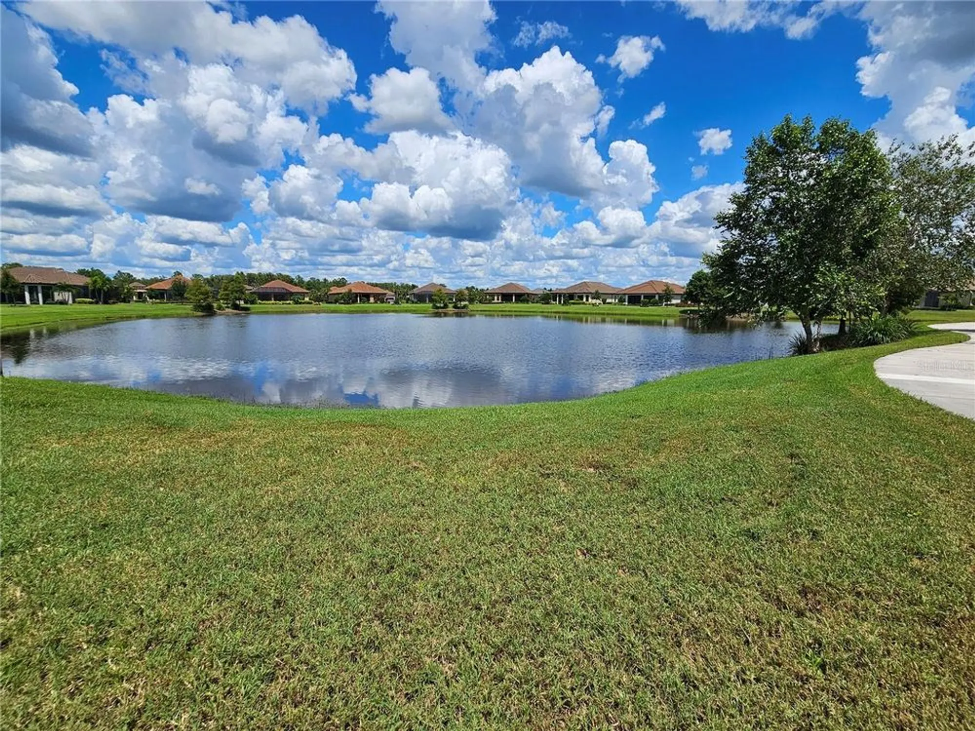 Property Slideshow image 72 of 72 | 11740 bitola dr, Odessa, FL, 33556