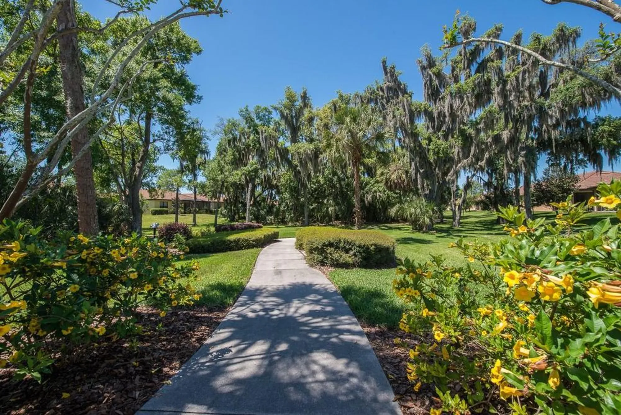 Property Slideshow image 47 of 51 | 321 silver falls dr, Apollo Beach, FL, 33572