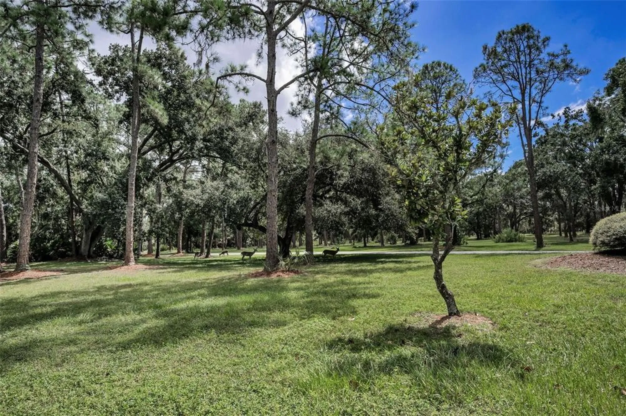 Property Slideshow image 62 of 70 | 921 anchorage ln, Palm Harbor, FL, 34685