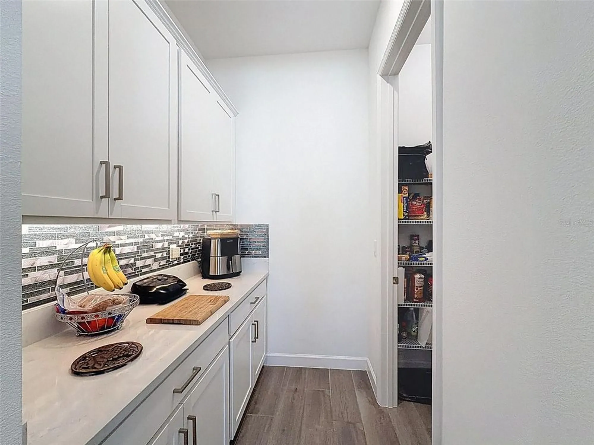 Property Slideshow image 19 of 70 | 17301 scuba crest st, Wimauma, FL, 33598