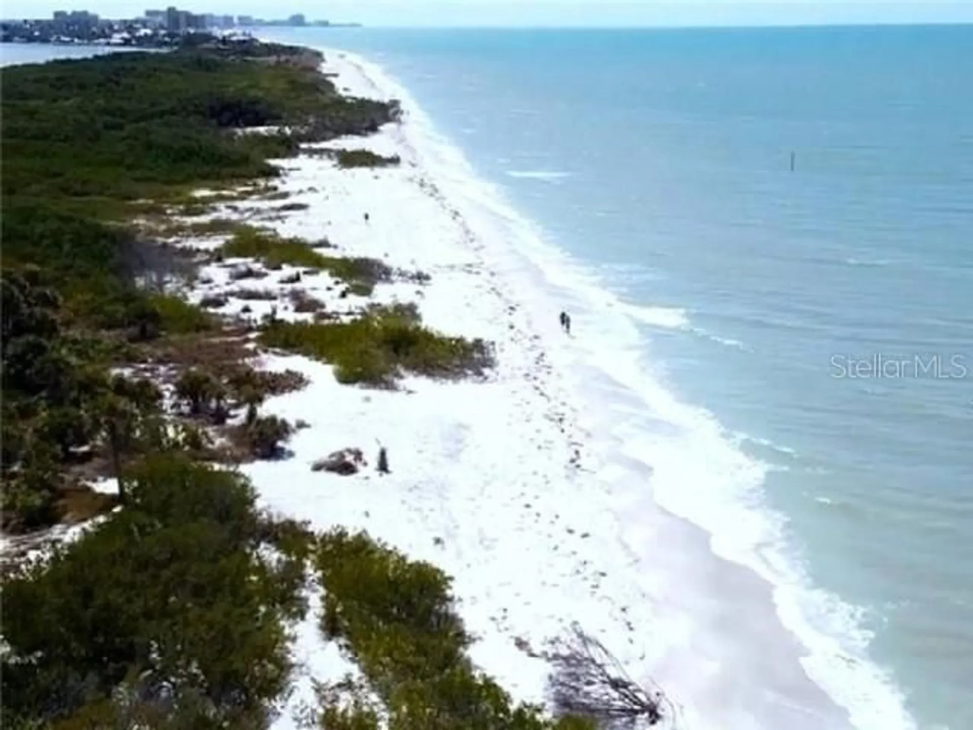 Property Slideshow image 74 of 84 | 1701 pinehurst rd apt 24b, Dunedin, FL, 34698