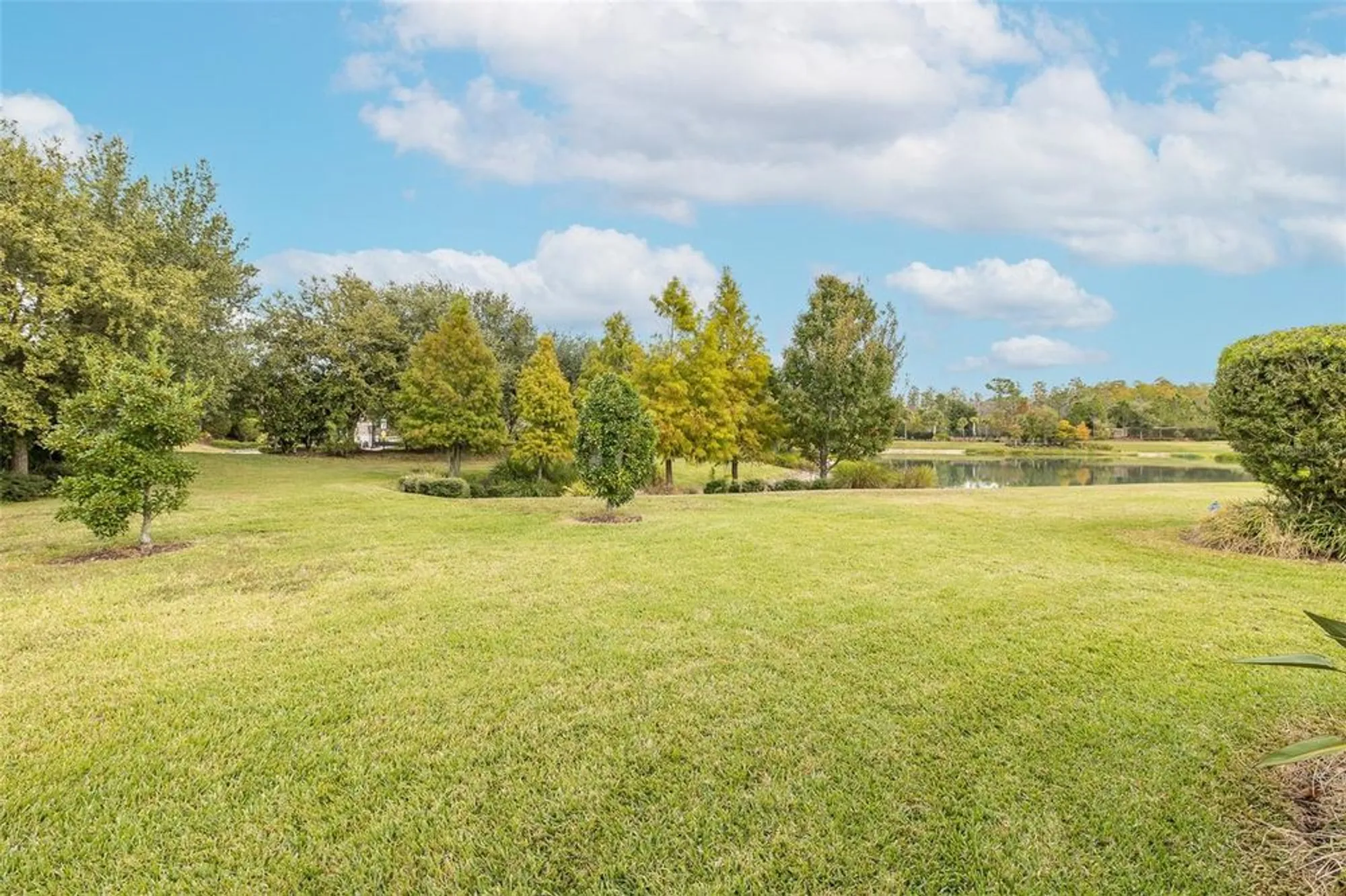 Property Slideshow image 61 of 100 | 11599 callisia dr, Odessa, FL, 33556