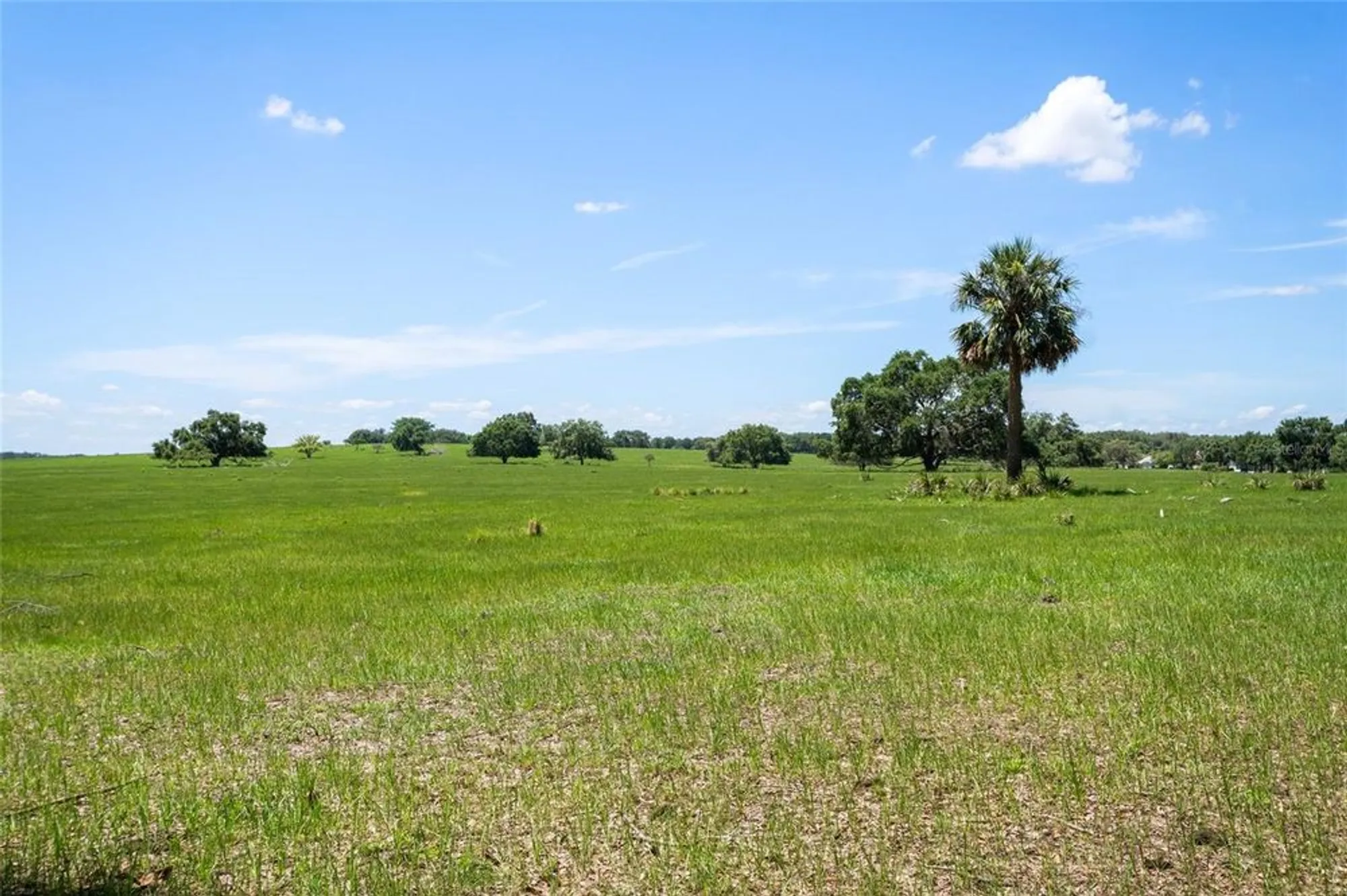 Property Slideshow image 35 of 37 | 21144 royal st georges ln, Leesburg, FL, 34748