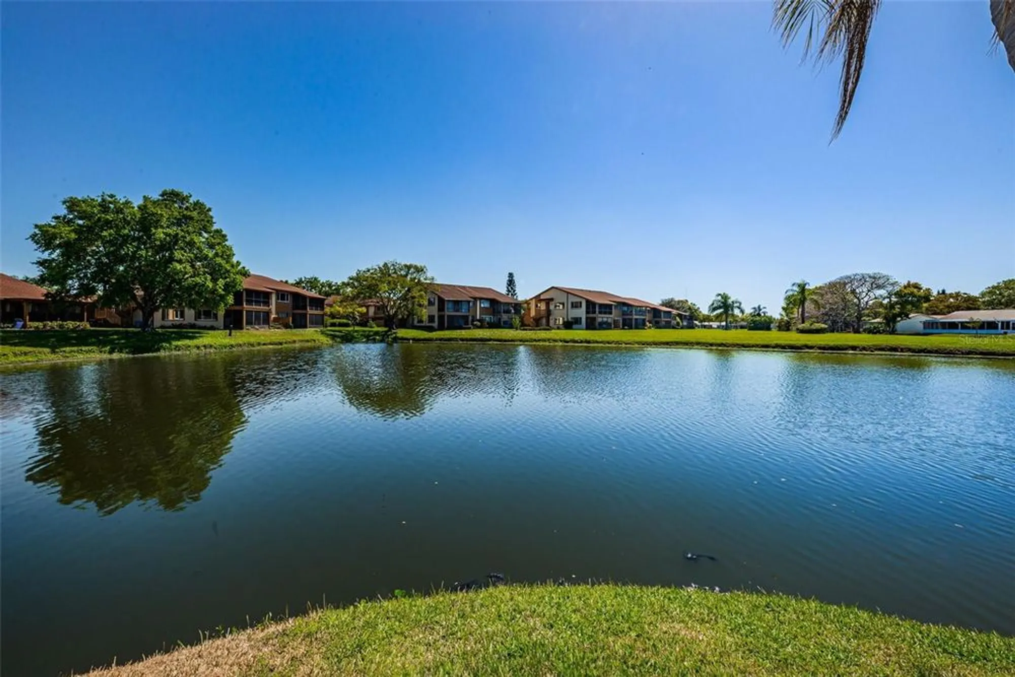 Property Slideshow image 49 of 70 | 3838 lanyard ct b, New Port Richey, FL, 34652