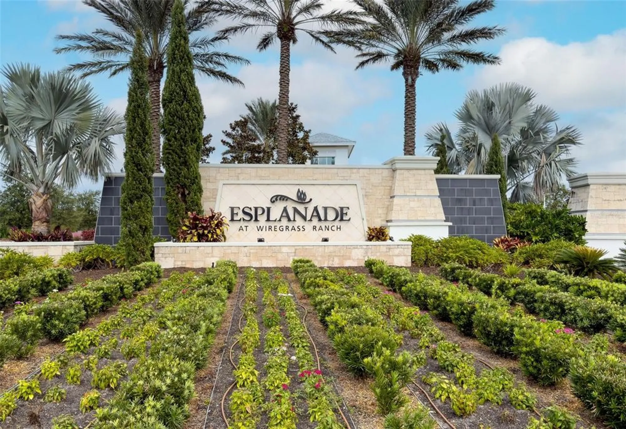 Property Slideshow image 41 of 50 | 4795 freccia loop, Wesley Chapel, FL, 33543