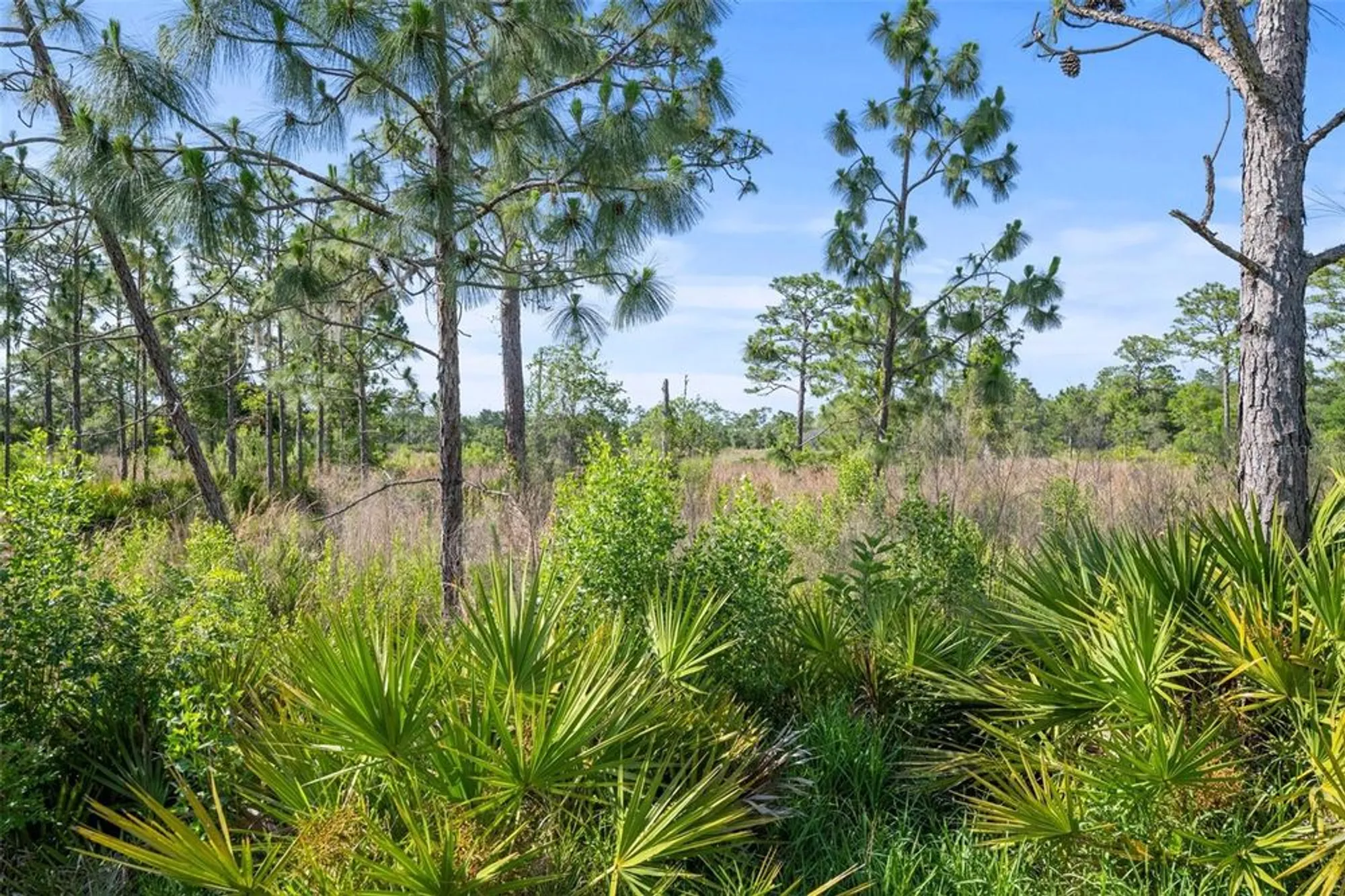 Property Slideshow image 21 of 30 | 1069 avery meadows way, Deland, FL, 32724