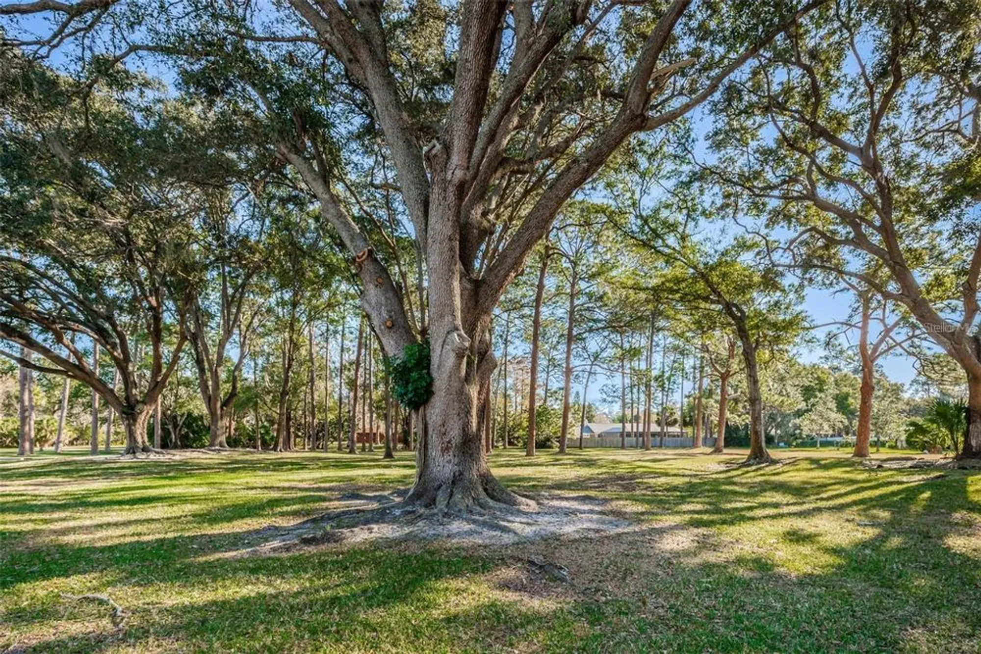 Property Slideshow image 48 of 66 | 1128 lanyard st, Palm Harbor, FL, 34685
