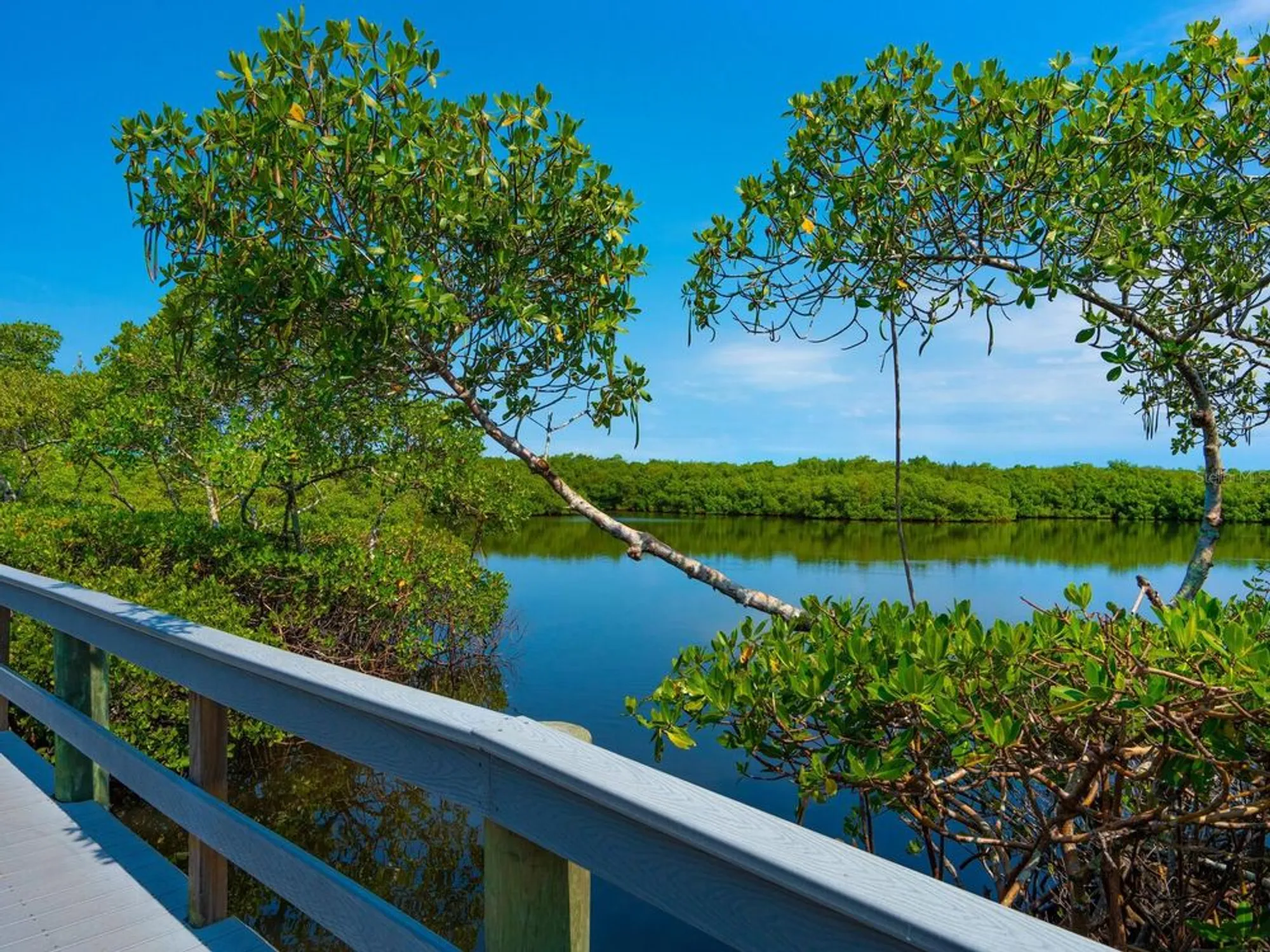 Property Slideshow image 37 of 38 | 5440 eagles point cir 405, Sarasota, FL, 34231