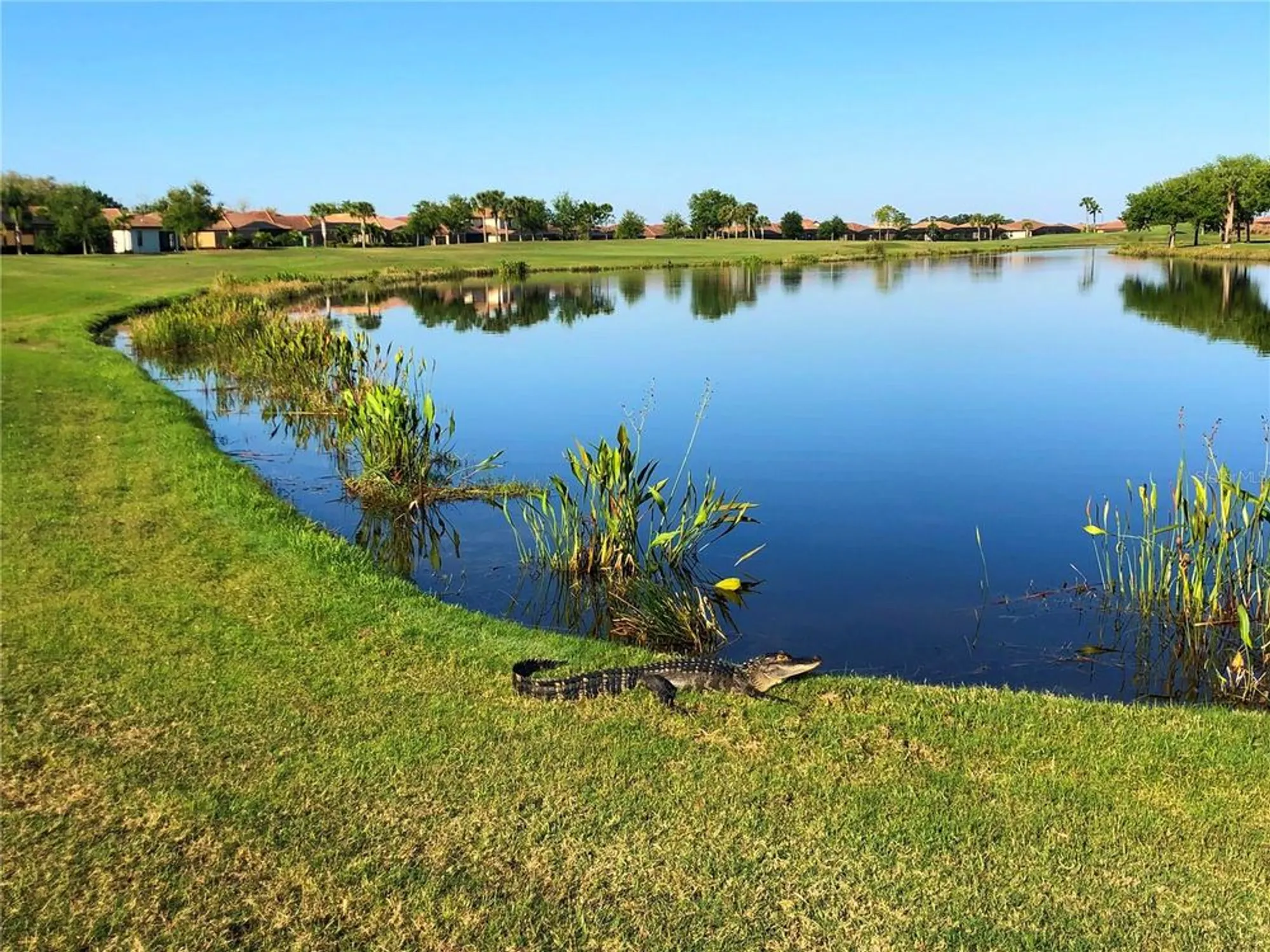 Property Slideshow image 58 of 68 | 9019 heritage sound dr, Bradenton, FL, 34212