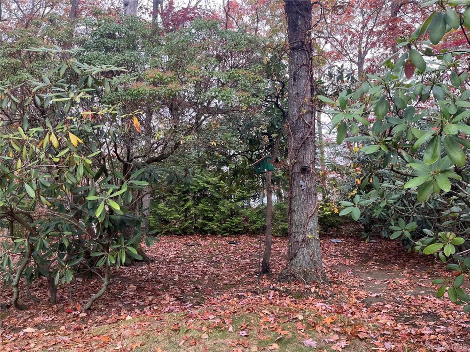 Property Slideshow image 23 of 30 | 194 canterbury dr, Ridge, NY, 11961