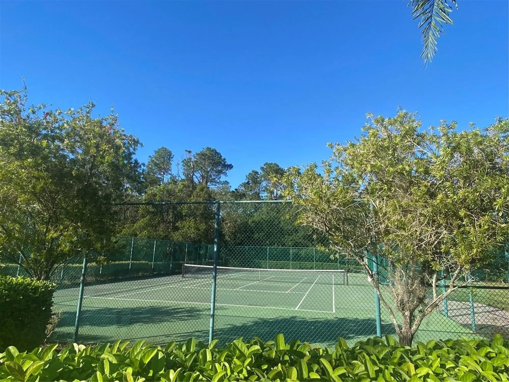 Property Slideshow image 40 of 44 | 1561 vienna square dr, Winter Haven, FL, 33884