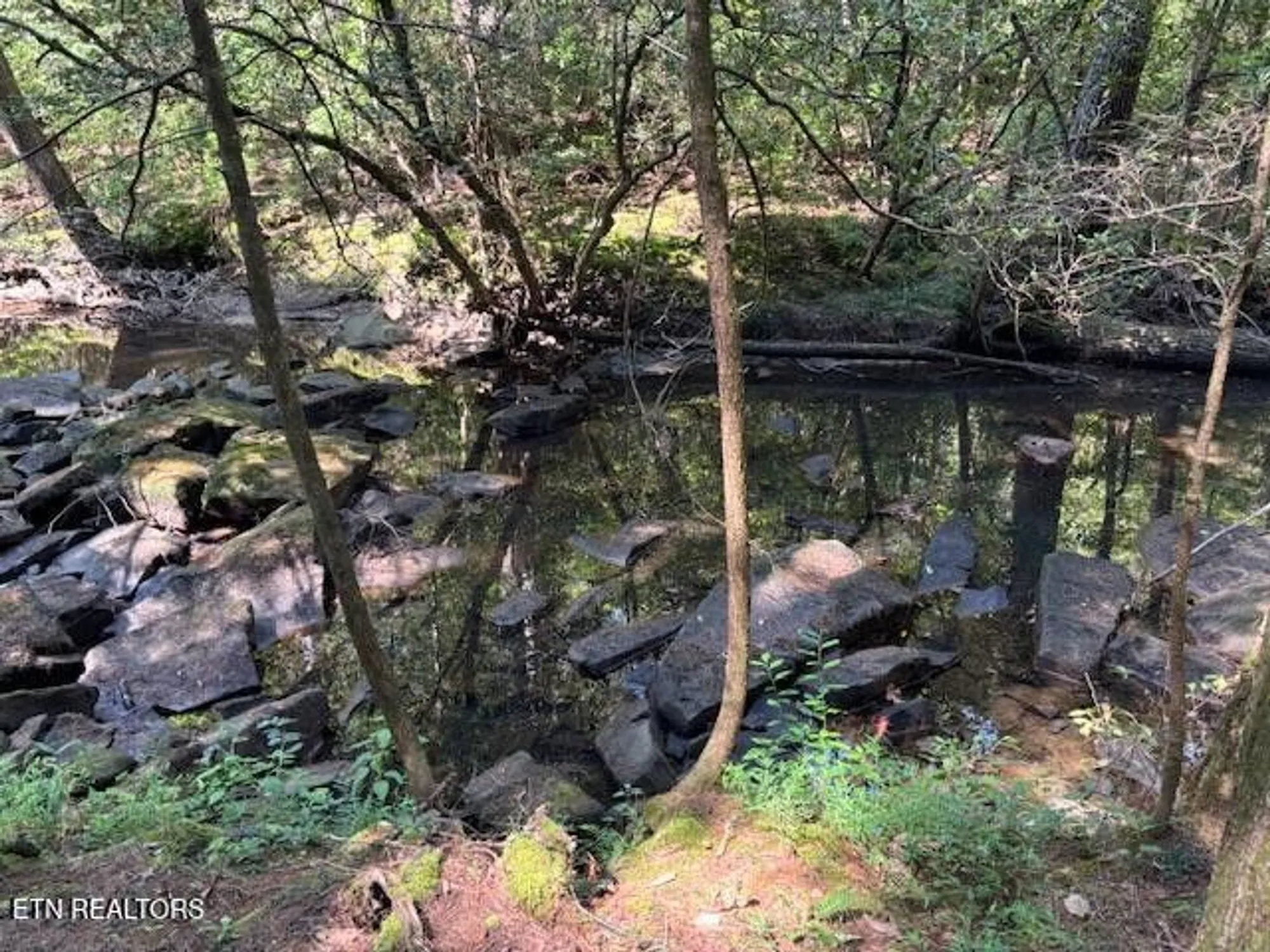 Property Slideshow image 39 of 42 | 151 forest view dr, Crossville, TN, 38558